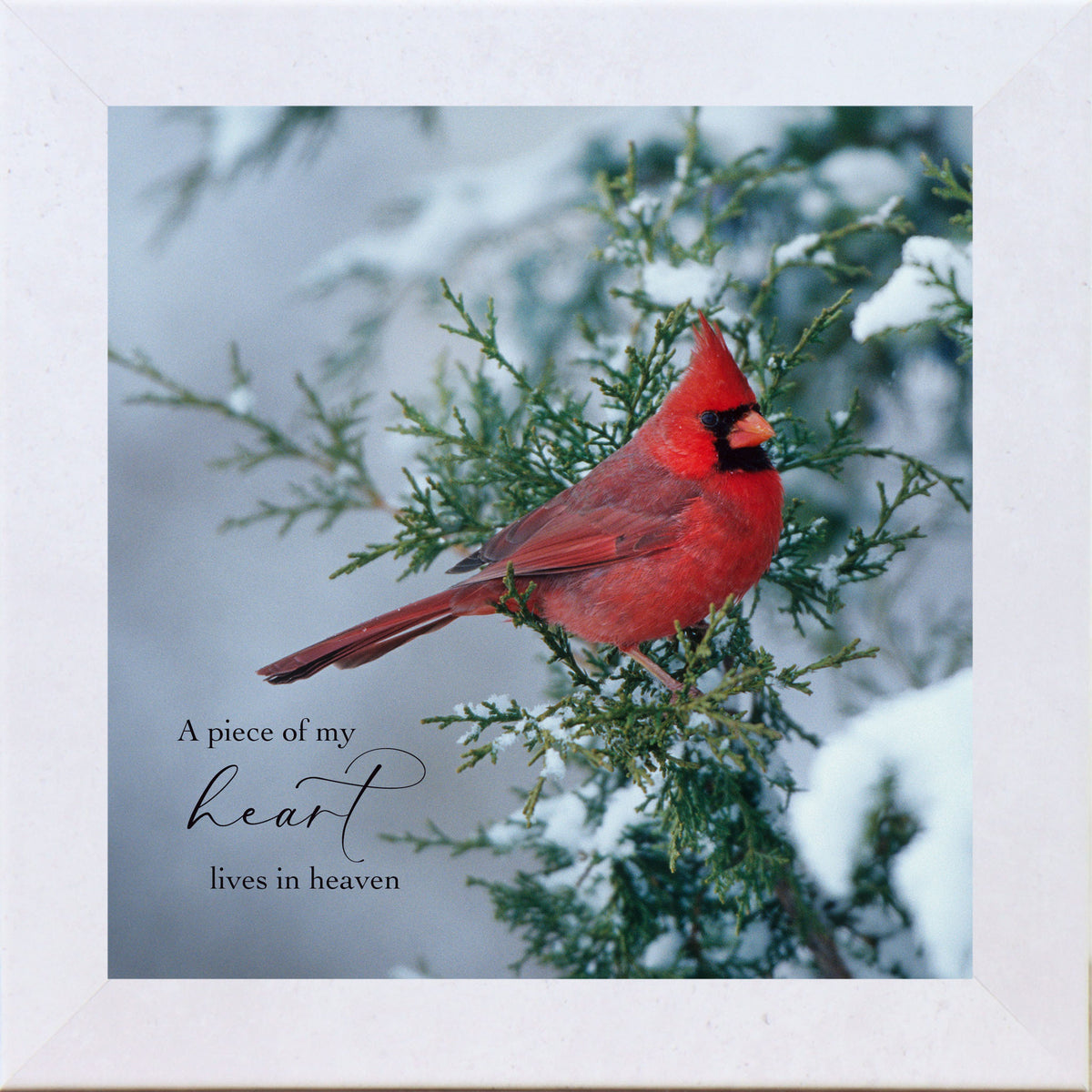 Square framed sympathy wall art featuring a red cardinal on a snow-covered evergreen branch with the words “A piece of my heart lives in heaven,” winter remembrance decor