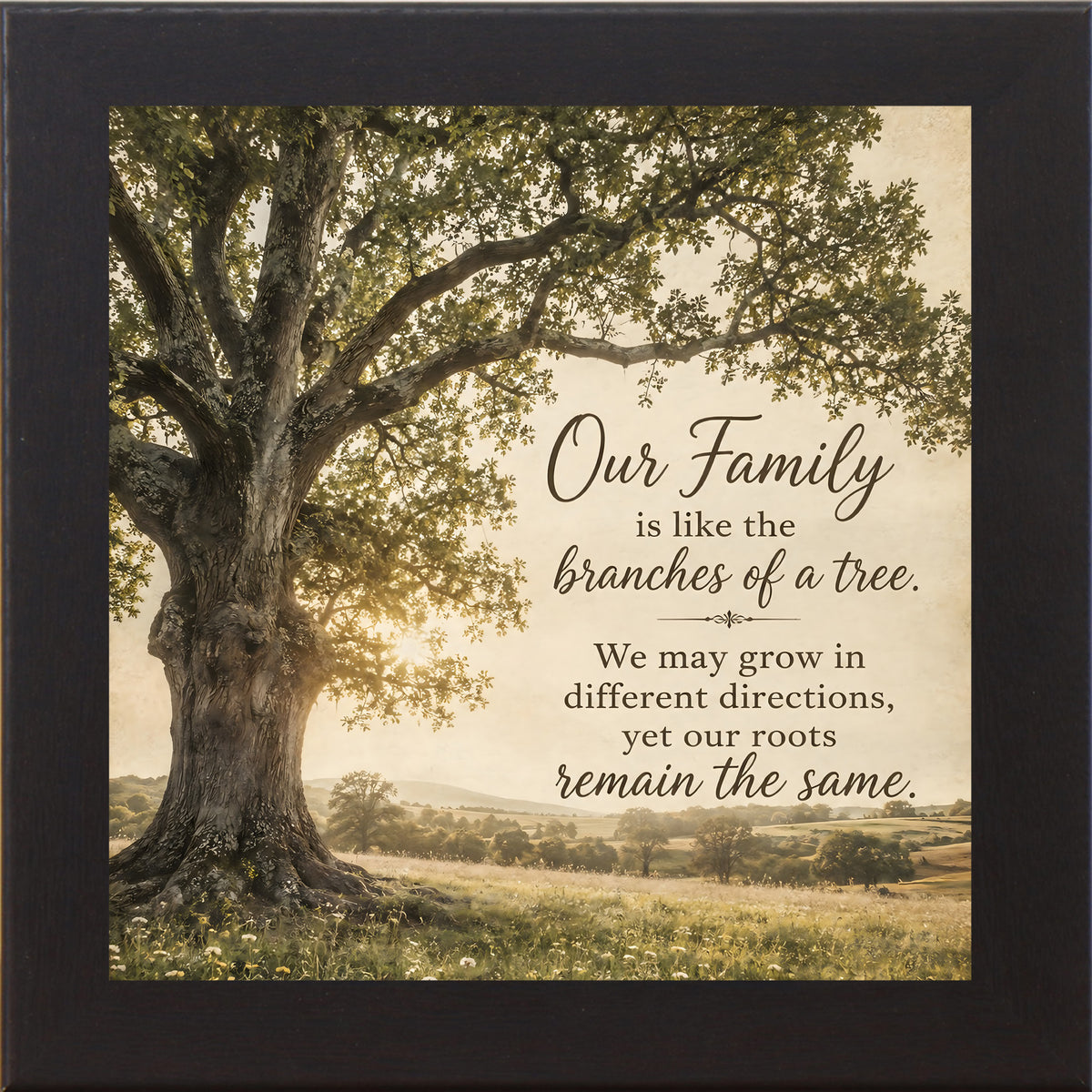 Black framed square family quote wall art featuring a majestic oak tree in golden light with the words "Our Family Is Like The Branches Of A Tree"