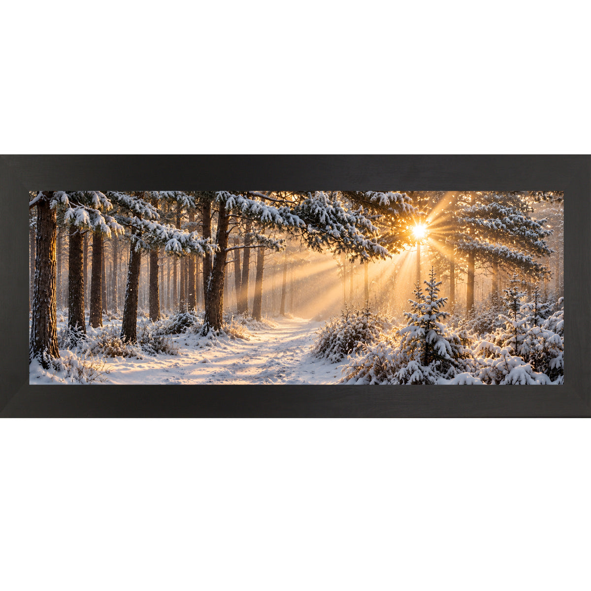 Black framed wide panoramic winter wall art featuring sunrise light breaking through a snow-covered pine forest