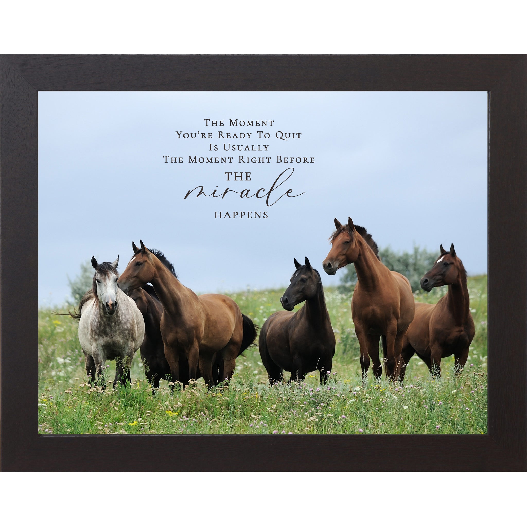 Black framed landscape inspirational horse wall art with five horses standing alert in a wildflower meadow with blue sky and the quote The Moment You're Ready to Quit Is Usually the Moment Right Before the Miracle Happens