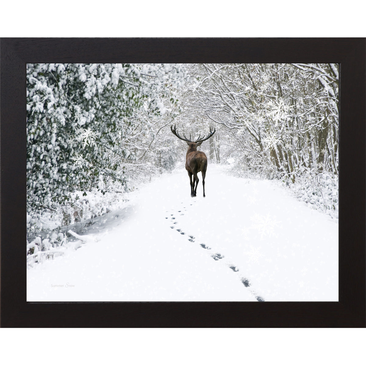 Black framed horizontal nature wall art featuring a deer walking away down a snow-covered winter forest path with snow-laden branches and deep hoofprints in white silence
