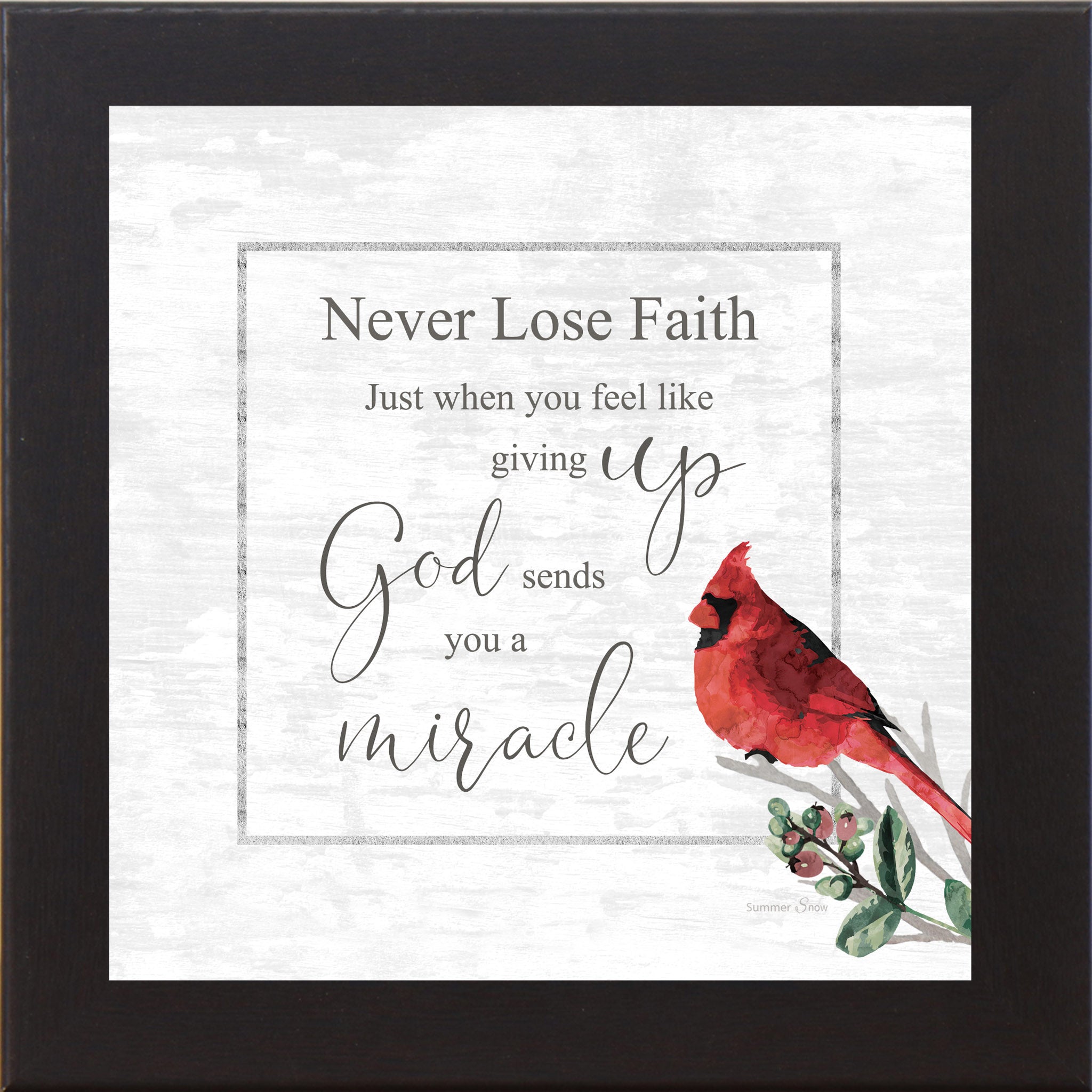 Never Lose Faith – Cardinal Inspirational Framed Wall Art | Christian Encouragement Decor (SS830)