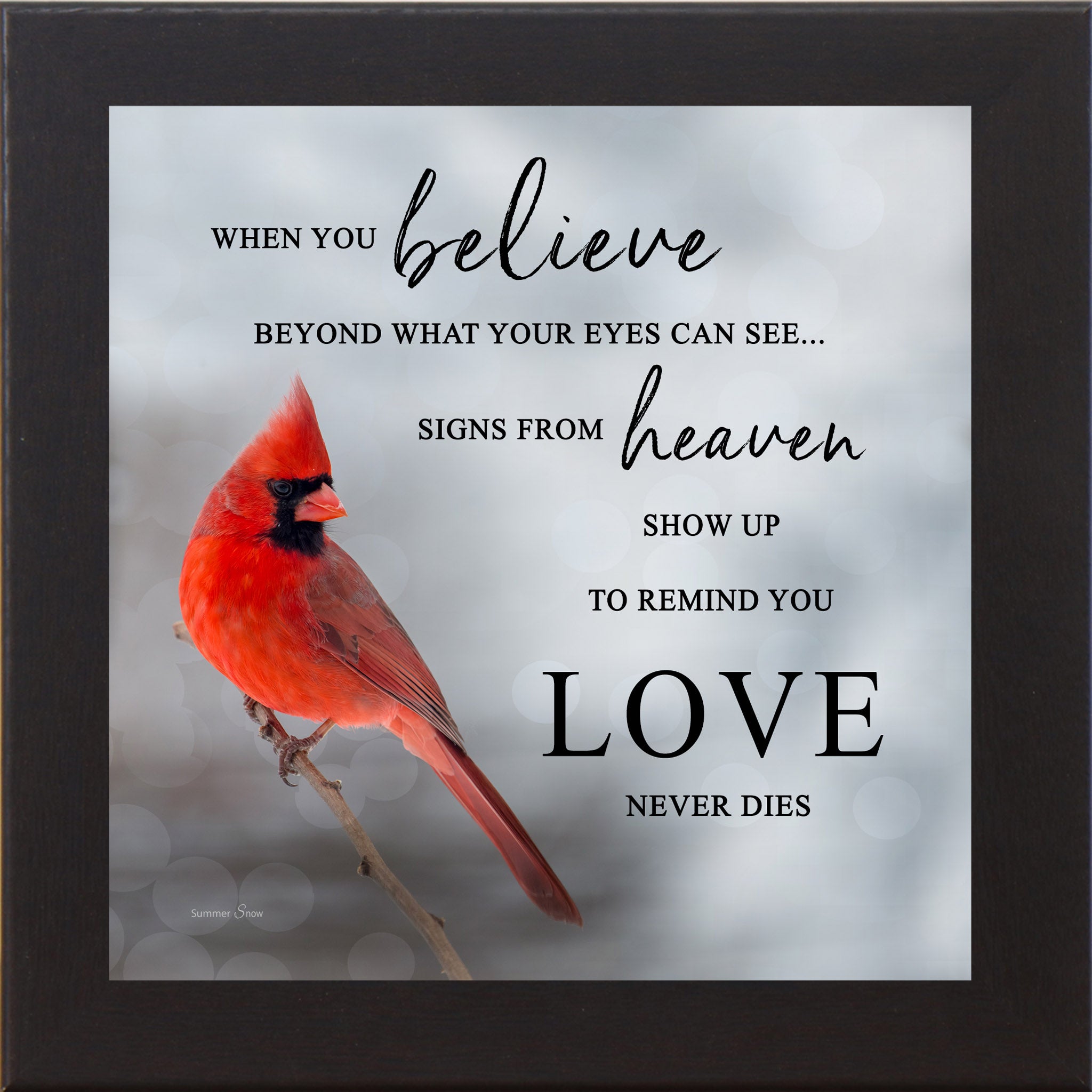 Black framed square cardinal sympathy wall art featuring a photorealistic red cardinal in silver gray mist with the words "When You Believe Beyond What Your Eyes Can See Signs From Heaven Show Up to Remind You Love Never Dies" — SA26