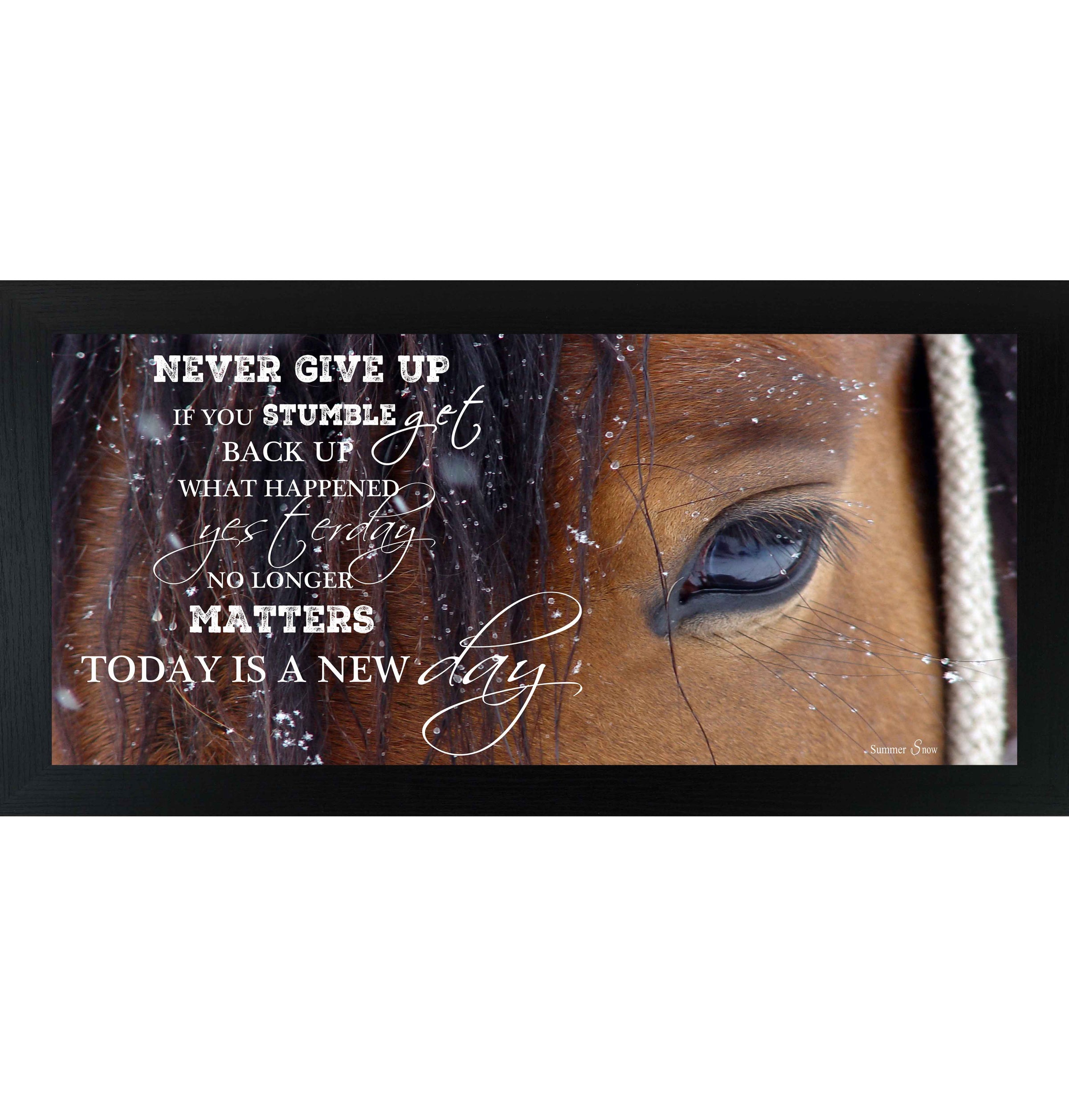 Never Give Up – Western Horse Inspirational Wall Art | SSW1865 - Summer Snow Art