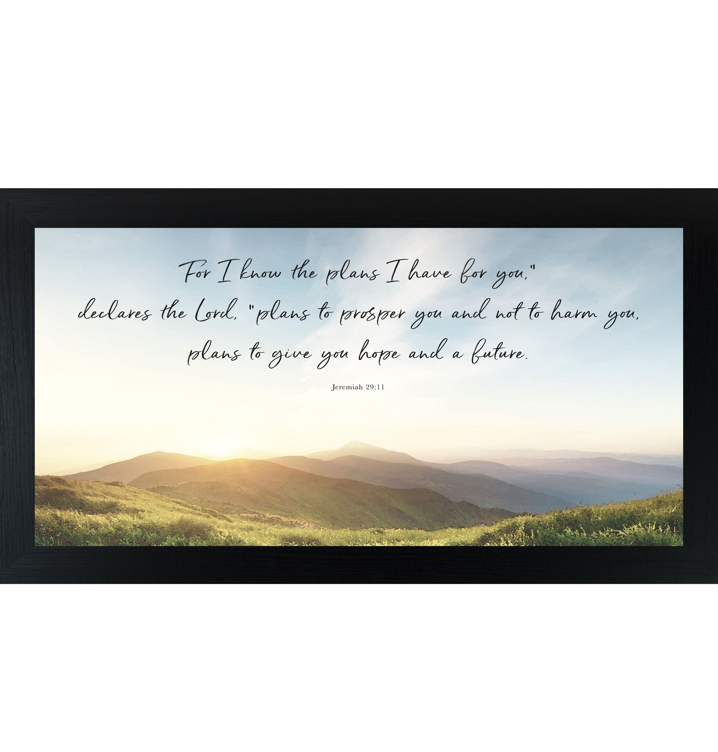 For I Know the Plans I Have for You – Jeremiah 29:11 Framed Wall Art | Inspirational Faith Decor | SS1598
