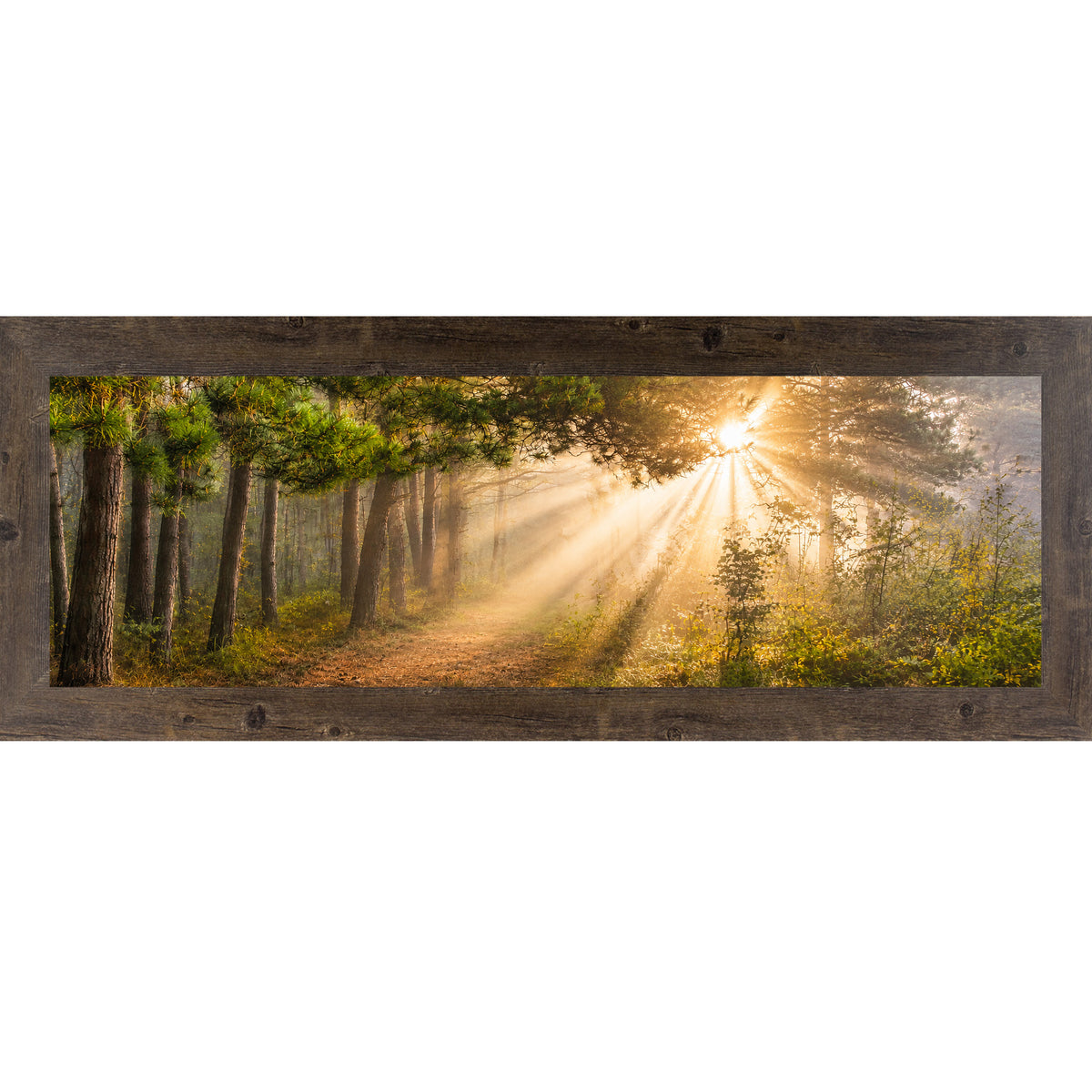 Natural Brown framed wide panoramic nature wall art featuring dramatic golden sunlight rays bursting through misty pine tree canopy across a forest path in warm sacred morning light