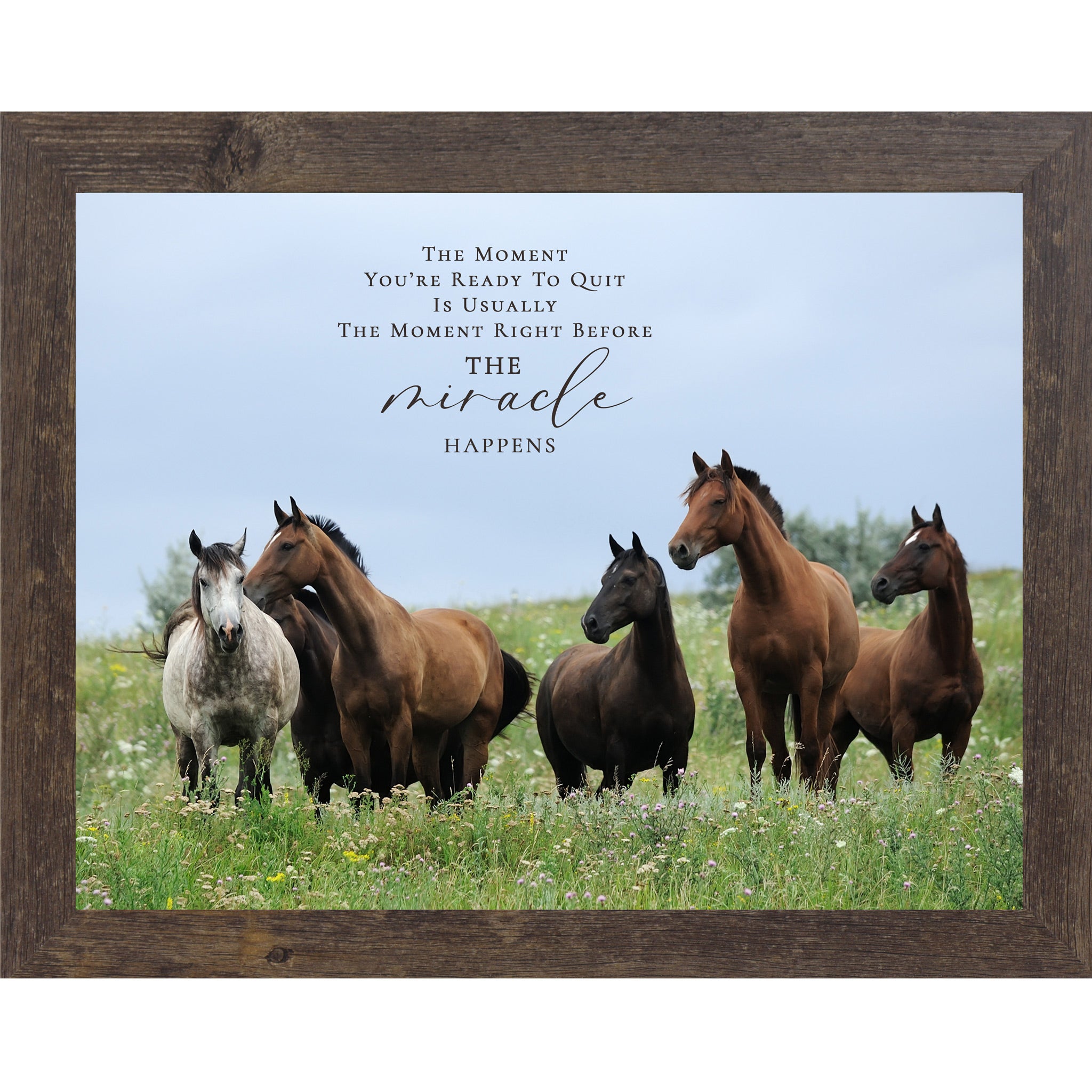 Natural brown framed landscape inspirational horse wall art with five horses standing alert in a wildflower meadow with blue sky and the quote The Moment You're Ready to Quit Is Usually the Moment Right Before the Miracle Happens