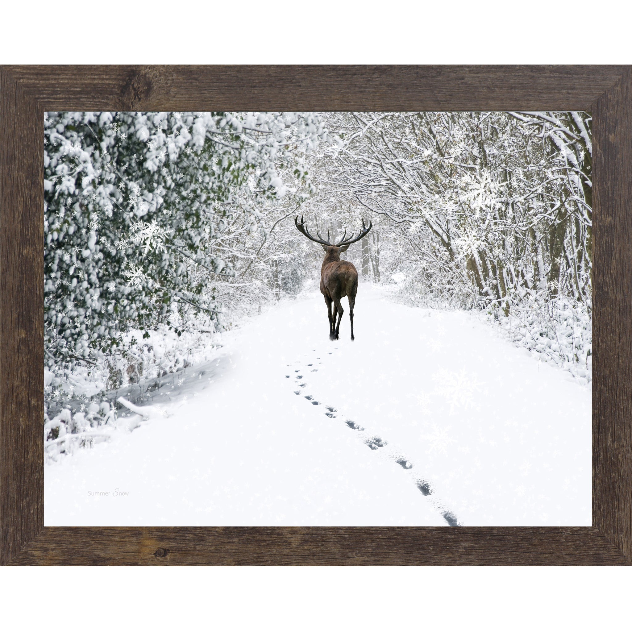 Natural Brown framed horizontal nature wall art featuring a deer walking away down a snow-covered winter forest path with snow-laden branches and deep hoofprints in white silence