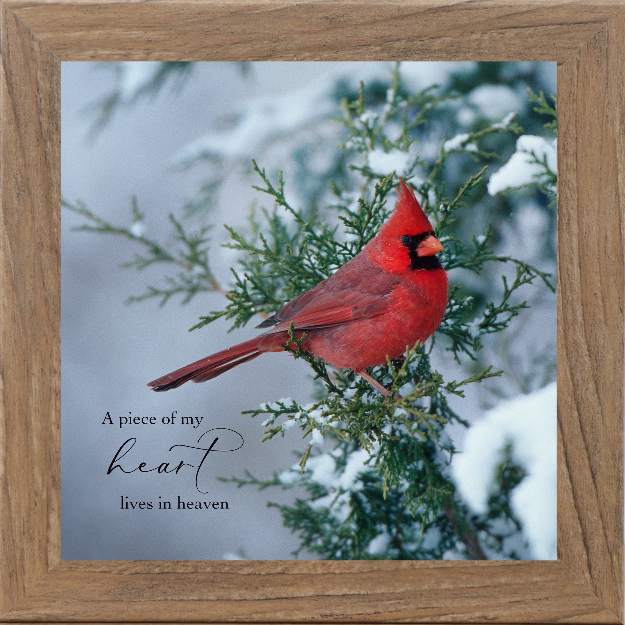 A Piece of My Heart Lives in Heaven – Cardinal Sympathy Framed Wall Art | Winter Remembrance Decor (SA127)