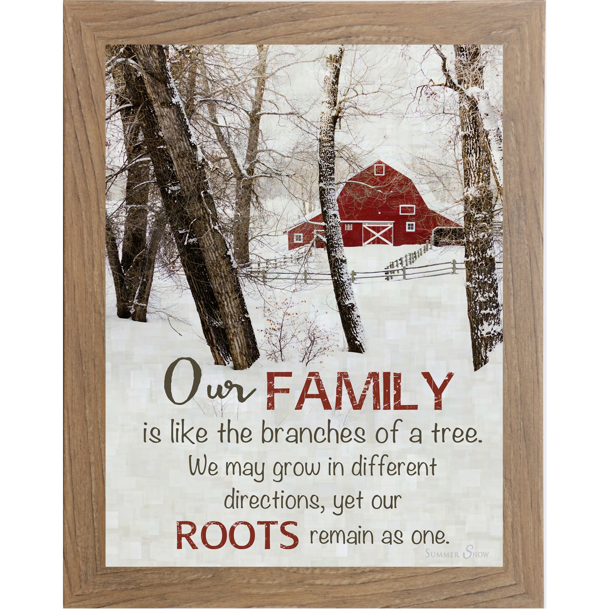 Our Family Barn SS9868