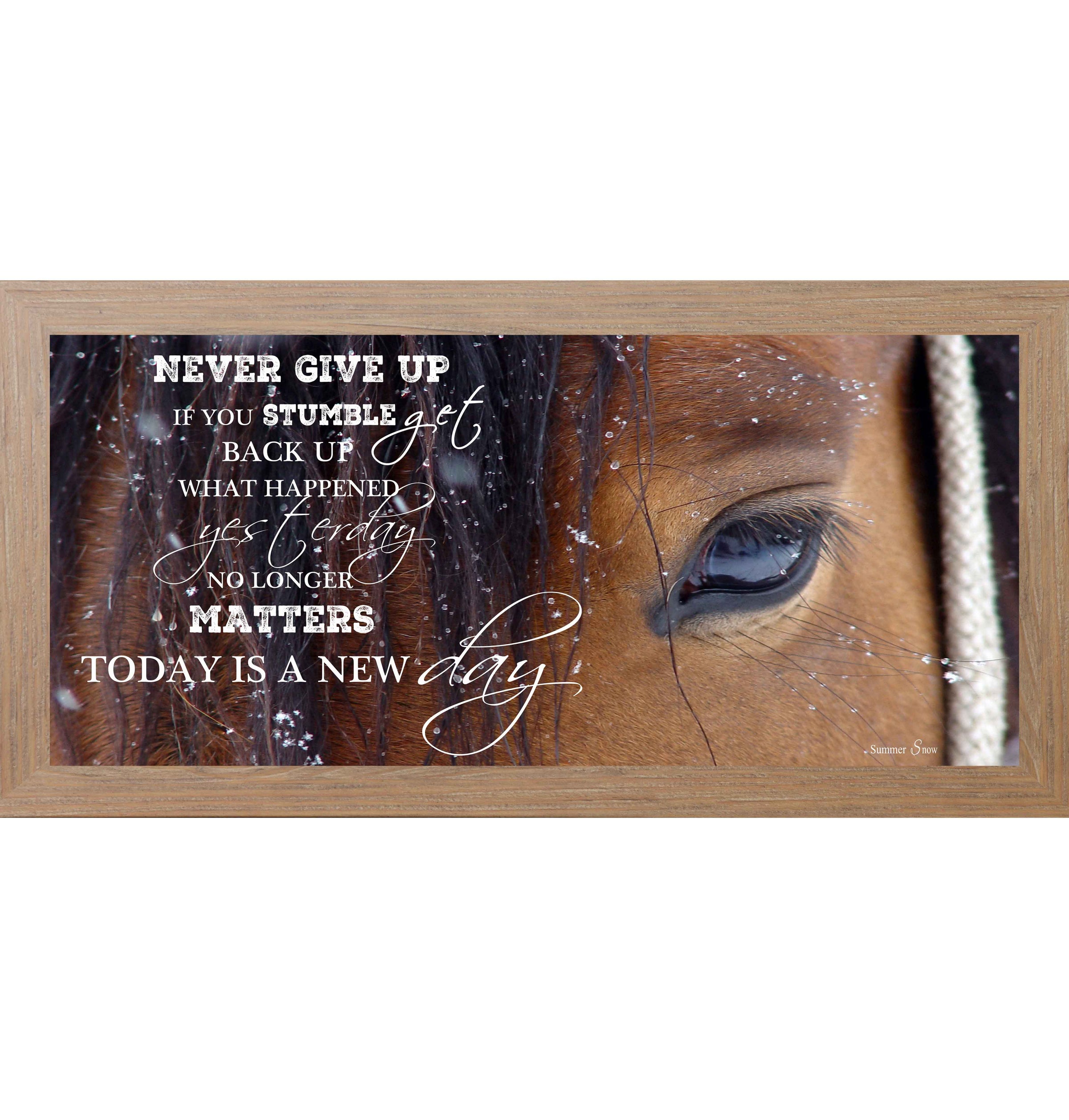 Never Give Up – Western Horse Inspirational Wall Art | SSW1865 - Summer Snow Art
