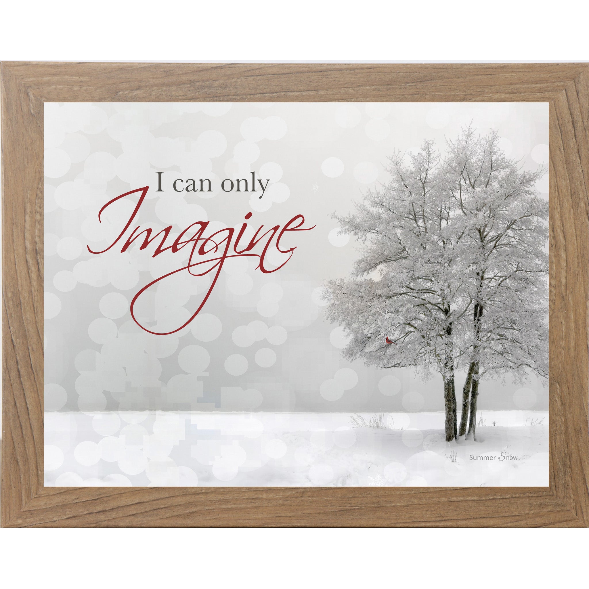 I Can Only Imagine – Cardinal Winter Framed Wall Art | Faith & Remembrance Decor (SSA09)