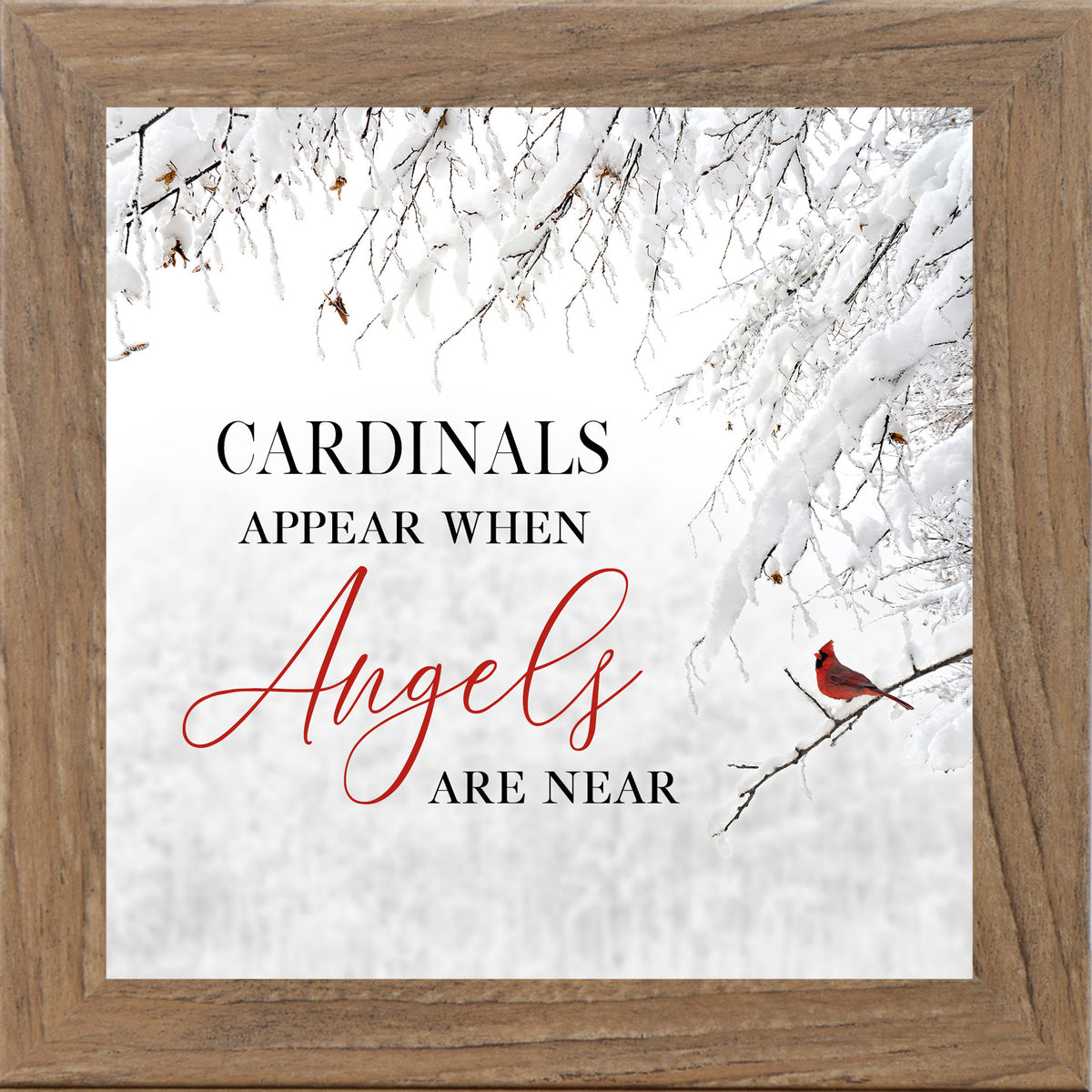 Farmtable framed square cardinal sympathy wall art featuring a red cardinal perched on snow-covered winter branches with the words "Cardinals Appear When Angels Are Near" — SS856