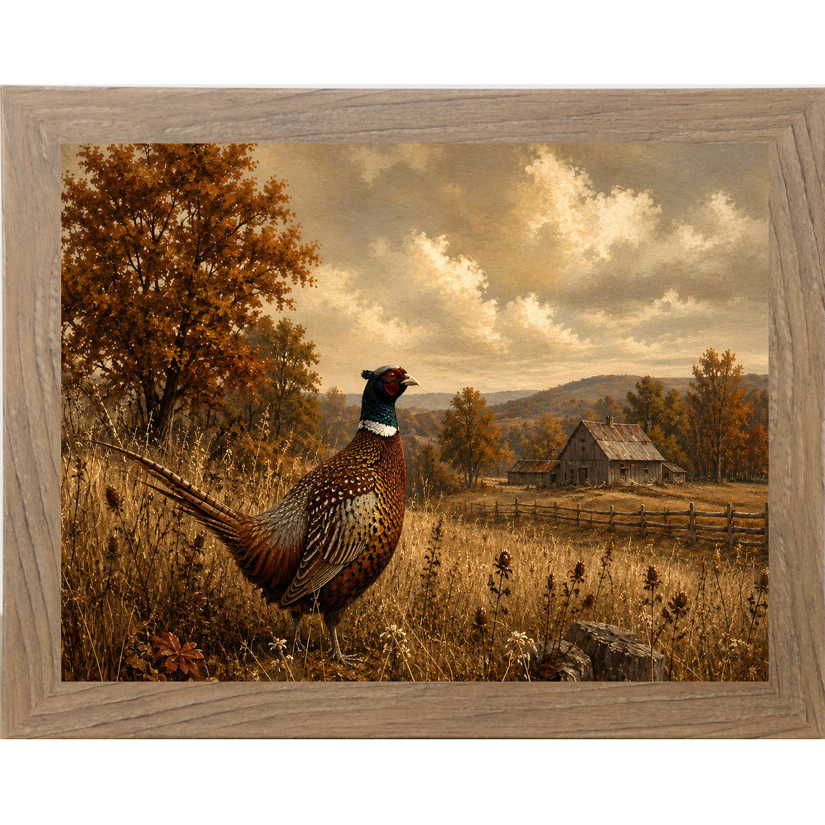 Farmtable framed landscape vintage sporting wall art featuring a ring-necked pheasant standing in a golden autumn field with a barn in the distance