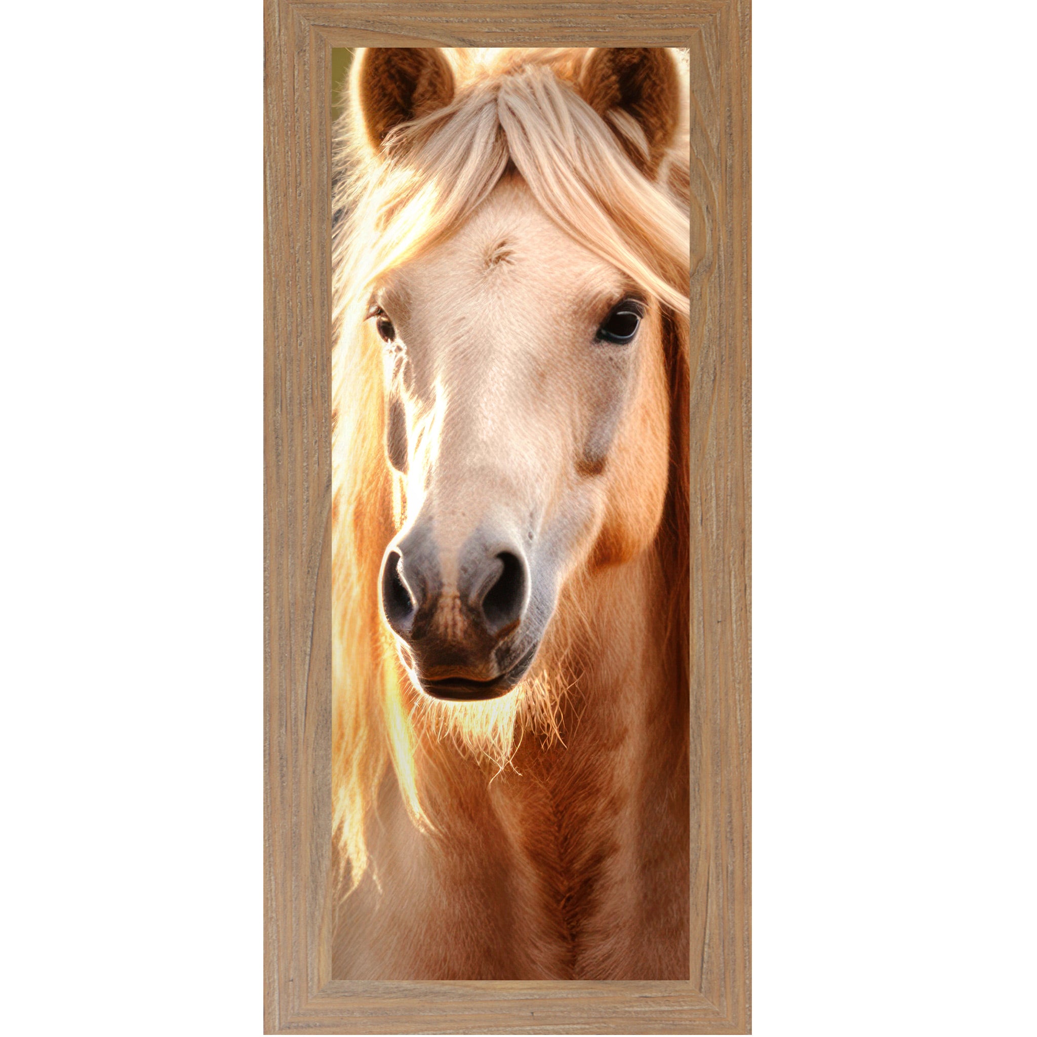 Farmtable framed narrow portrait palomino horse wall art featuring a golden mane palomino horse with direct eye contact, warm backlit glow, and cream mane cascading on both sides