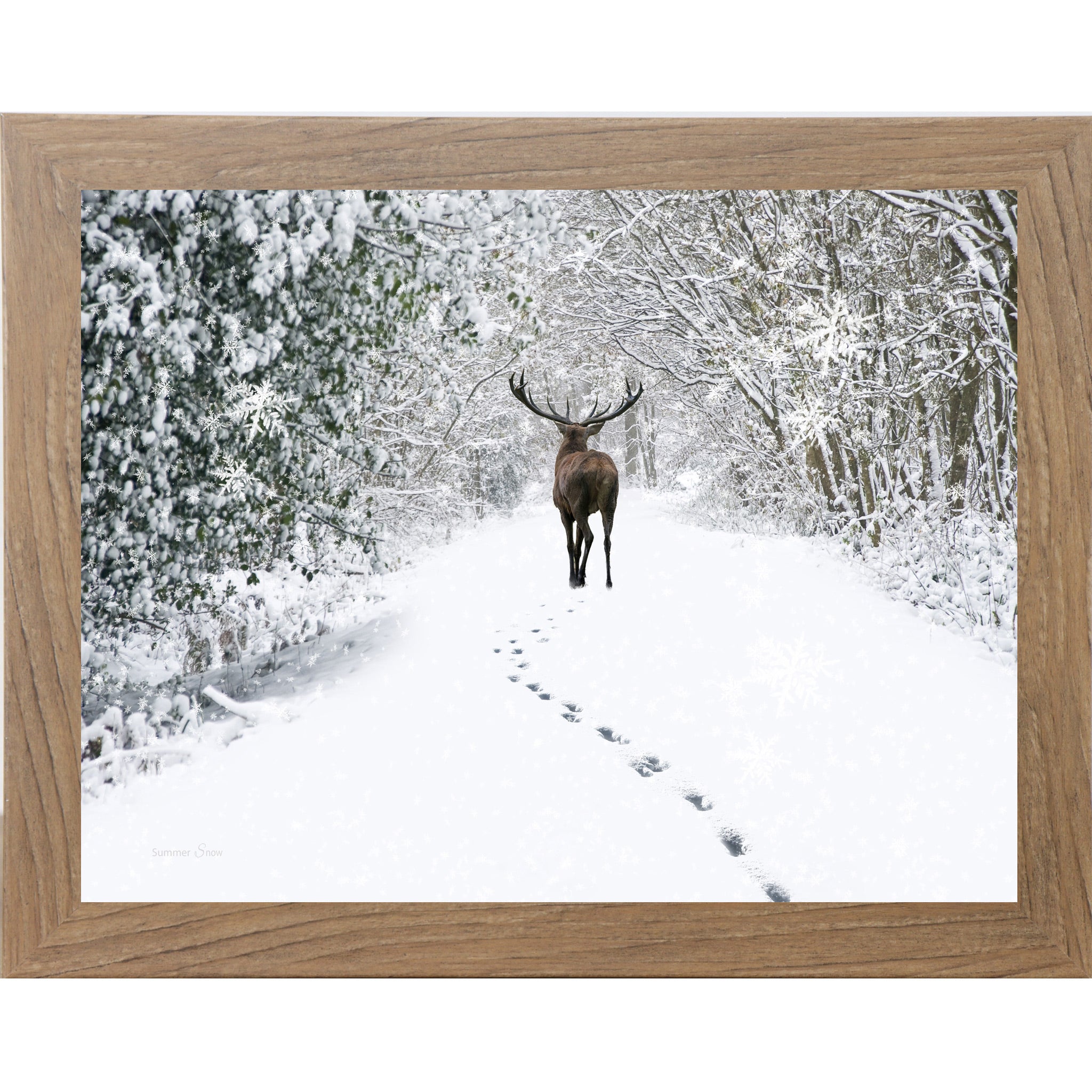 Farmtable framed horizontal nature wall art featuring a deer walking away down a snow-covered winter forest path with snow-laden branches and deep hoofprints in white silence