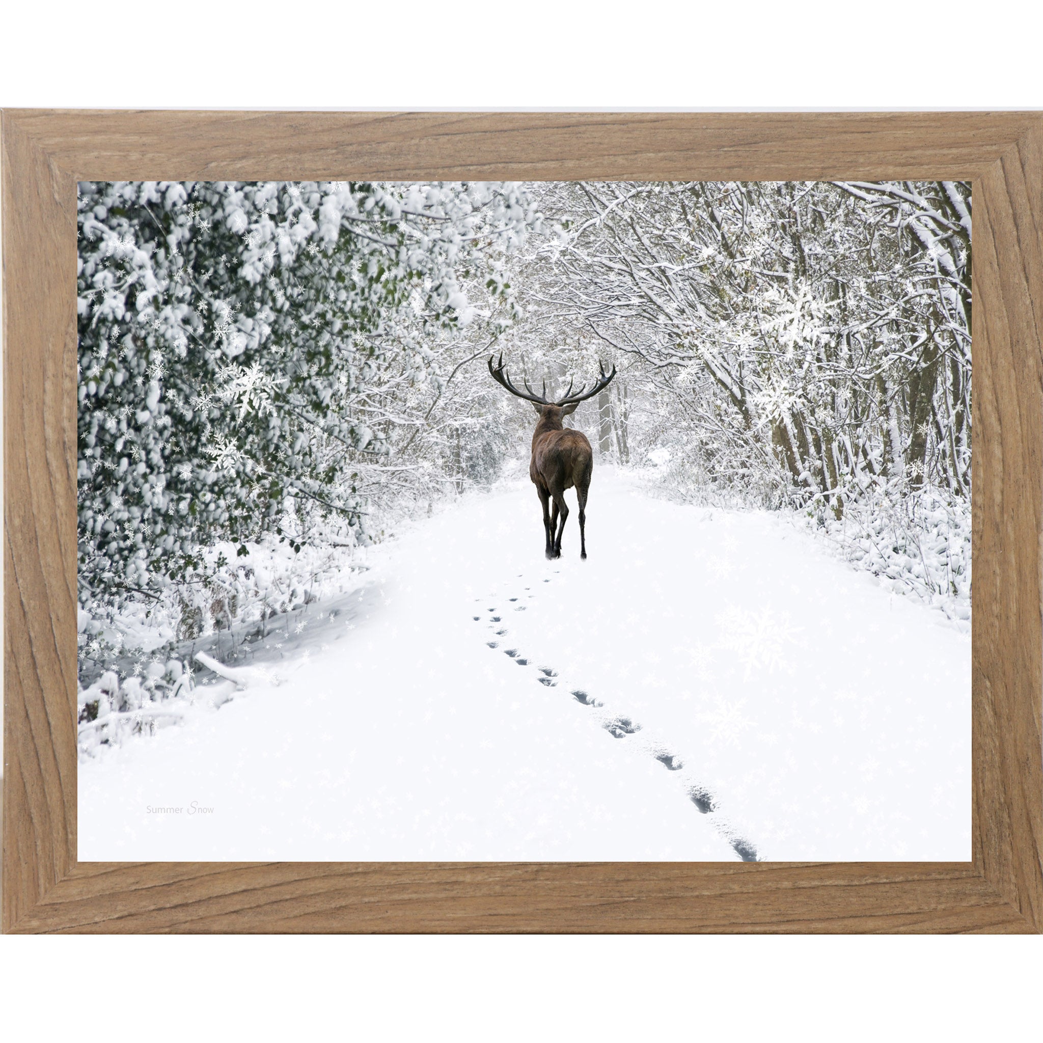 Farmtable framed landscape winter wall art featuring a lone stag walking through snow-covered woods with a trail of tracks behind him