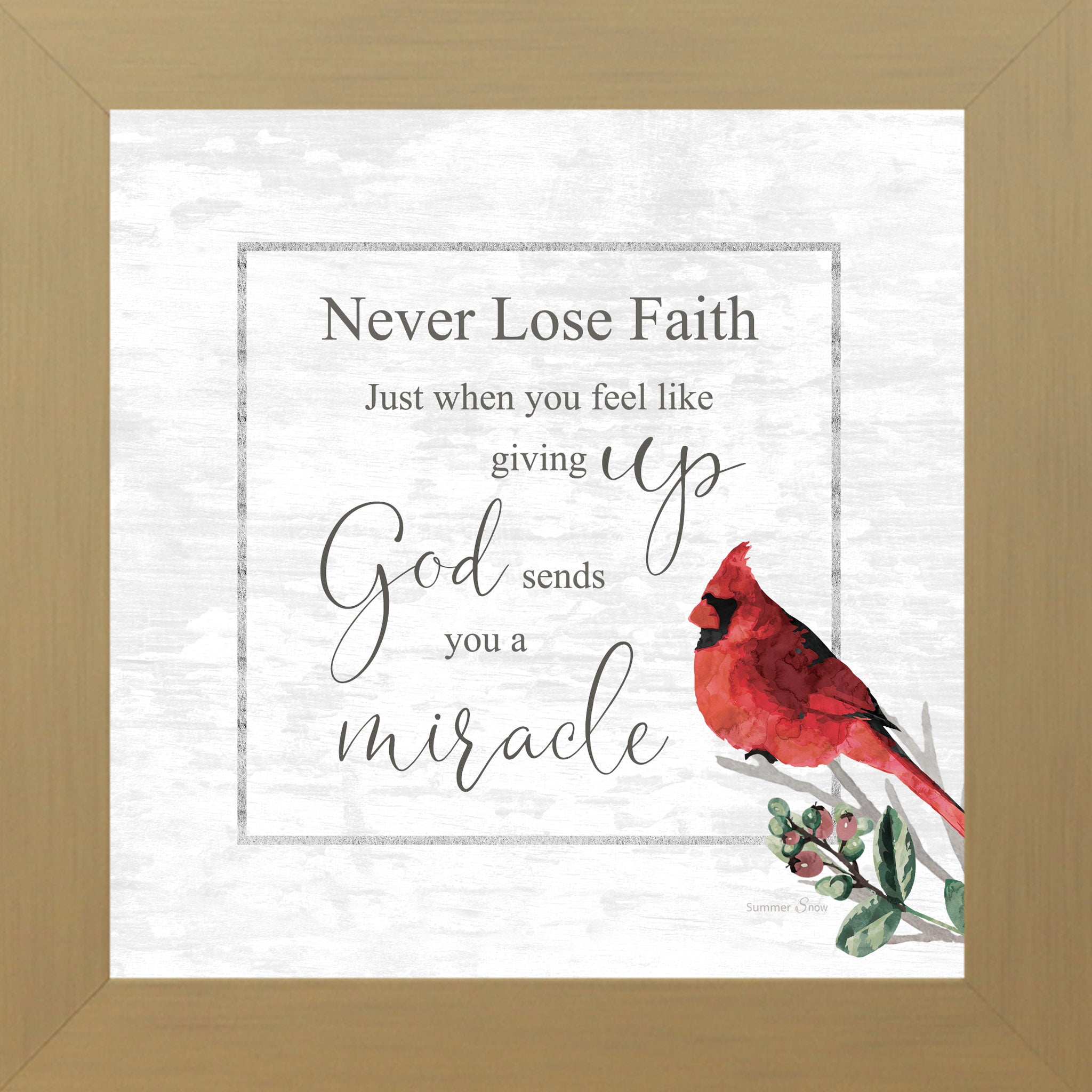 Never Lose Faith – Cardinal Inspirational Framed Wall Art | Christian Encouragement Decor (SS830)