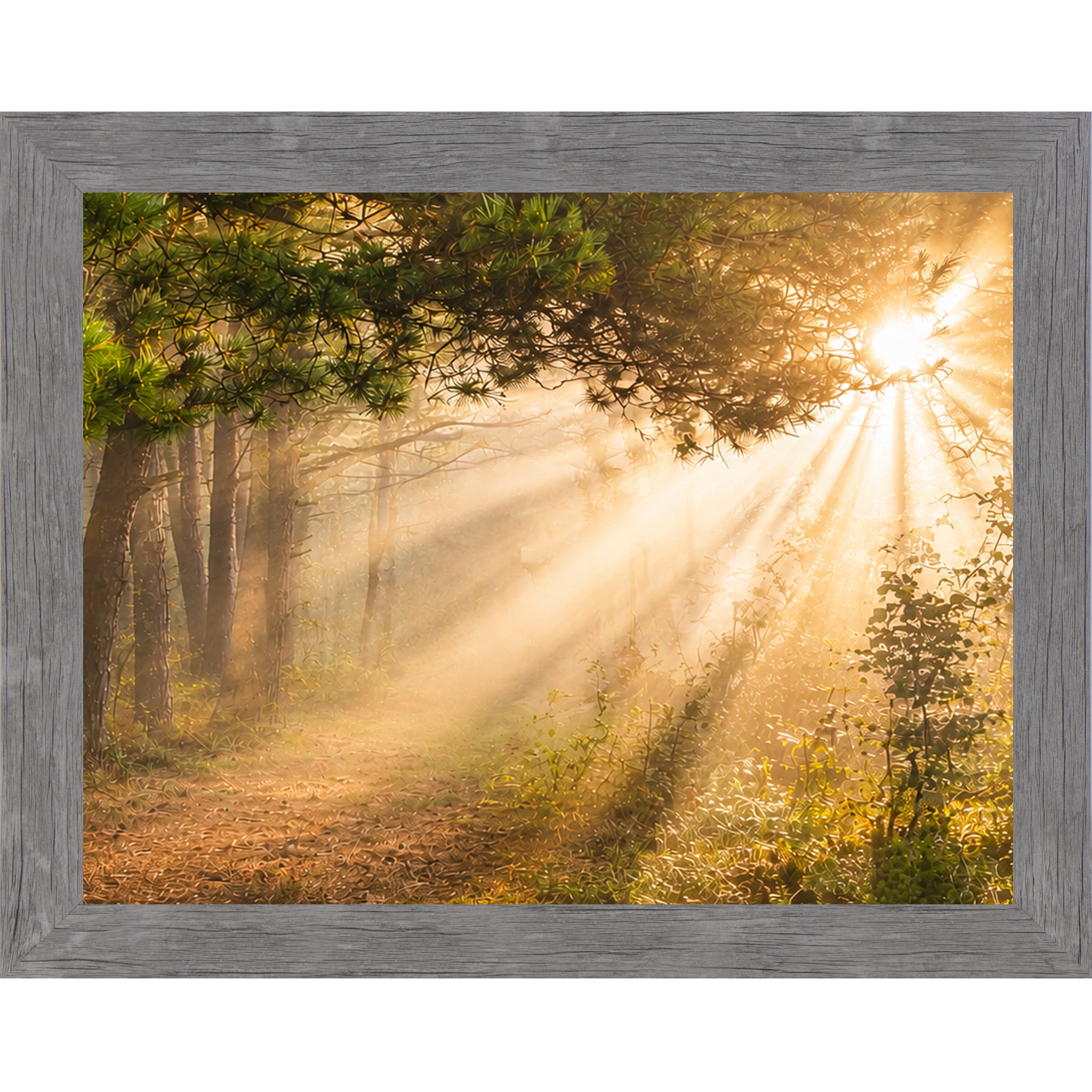 Gray framed horizontal nature wall art featuring dramatic golden sunlight rays bursting through misty pine tree canopy over a quiet forest path in warm sacred morning light