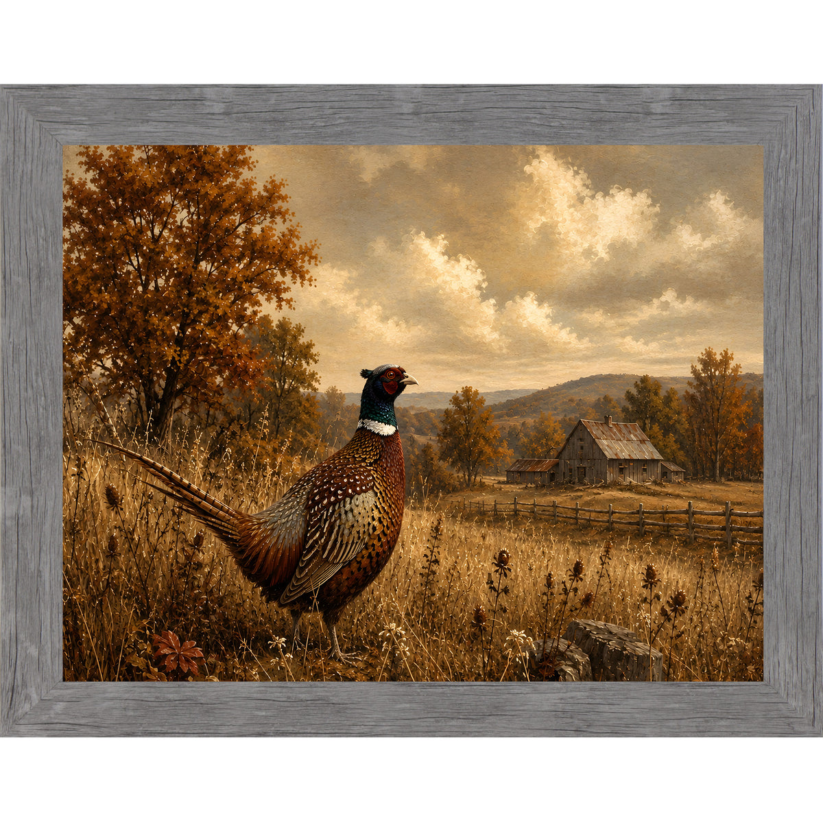 Gray framed landscape vintage sporting wall art featuring a ring-necked pheasant standing in a golden autumn field with a barn in the distance