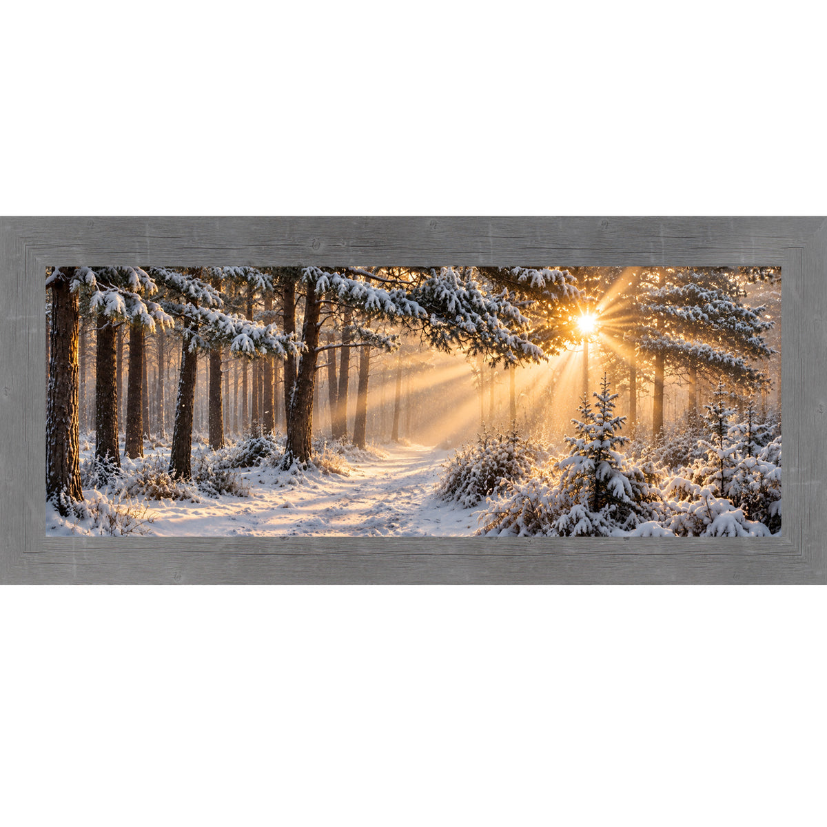 Gray framed wide panoramic winter wall art featuring sunrise light breaking through a snow-covered pine forest