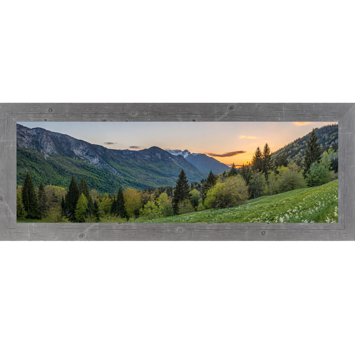 Gray framed wide panoramic nature wall art featuring a mountain valley at sunset with snow-capped peaks evergreen forest and white wildflower meadow in the foreground