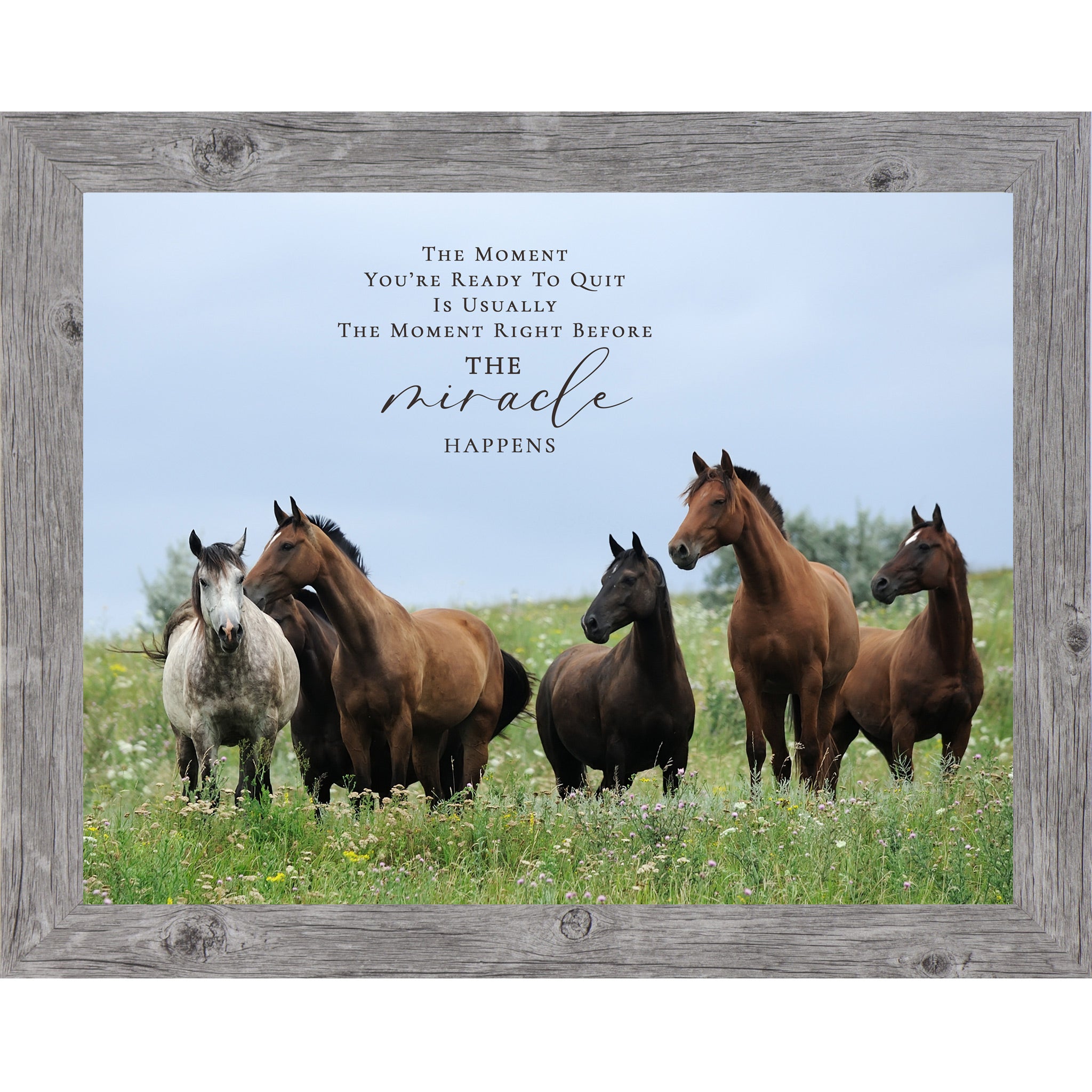 Gray framed landscape inspirational horse wall art with five horses standing alert in a wildflower meadow with blue sky and the quote The Moment You're Ready to Quit Is Usually the Moment Right Before the Miracle Happens