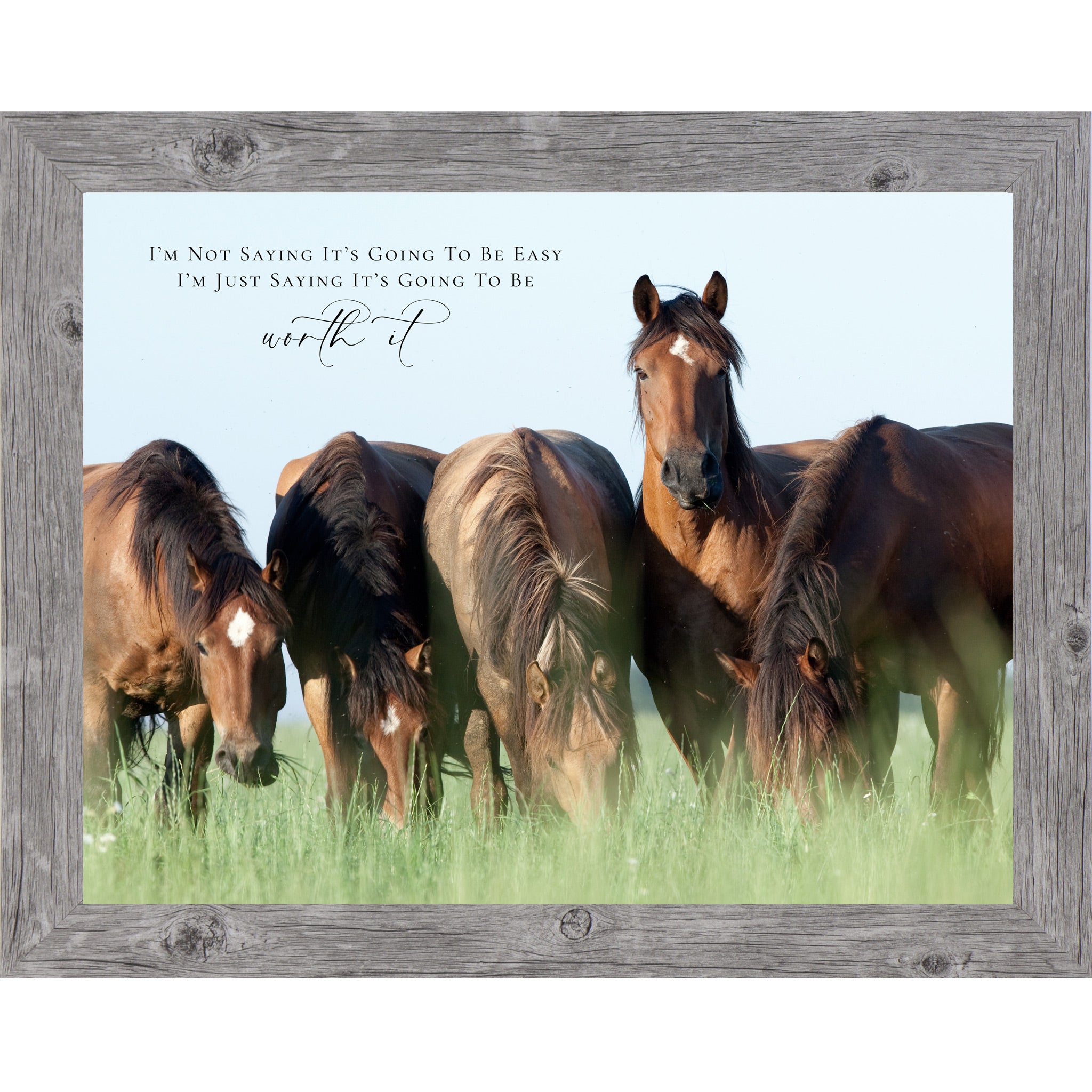 Gray framed landscape inspirational horse wall art with four bay horses grazing in a green summer field with the quote I'm Not Saying It's Going to Be Easy I'm Just Saying It's Going to Be Worth It
