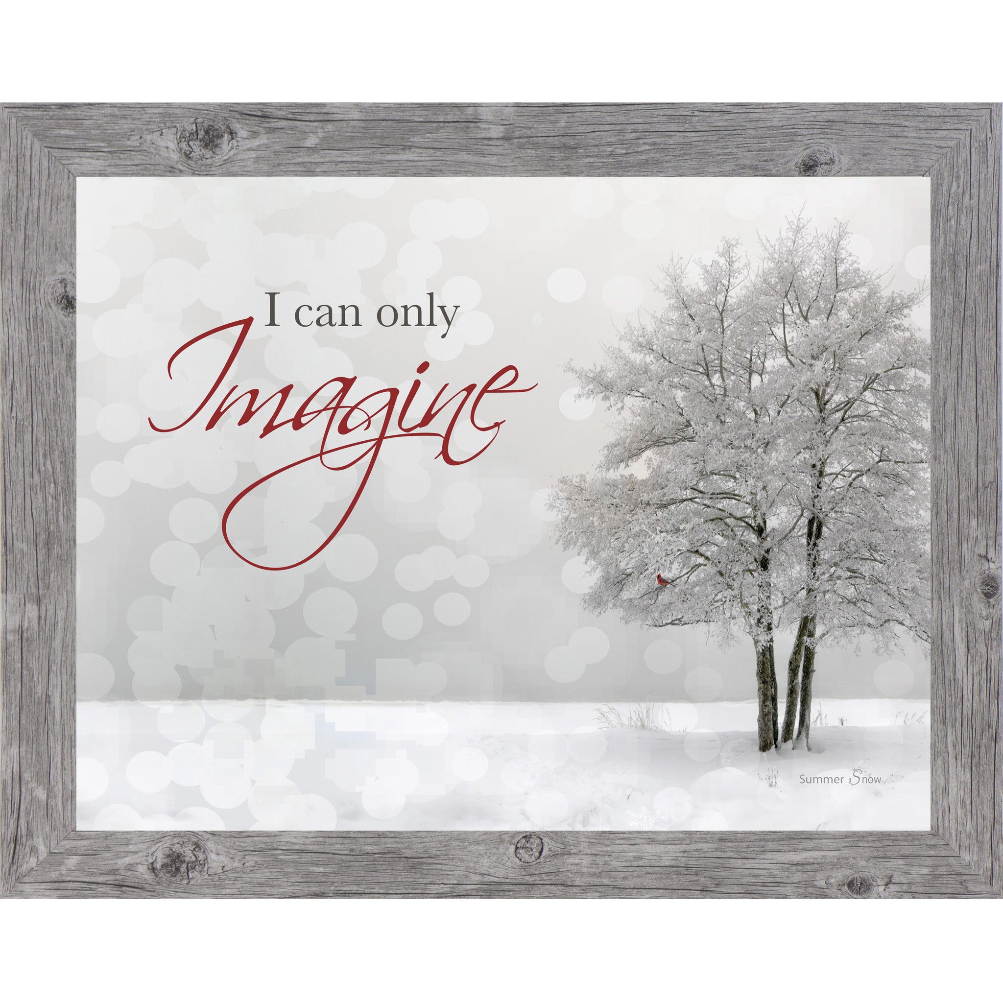 I Can Only Imagine – Cardinal Winter Framed Wall Art | Faith & Remembrance Decor (SSA09)