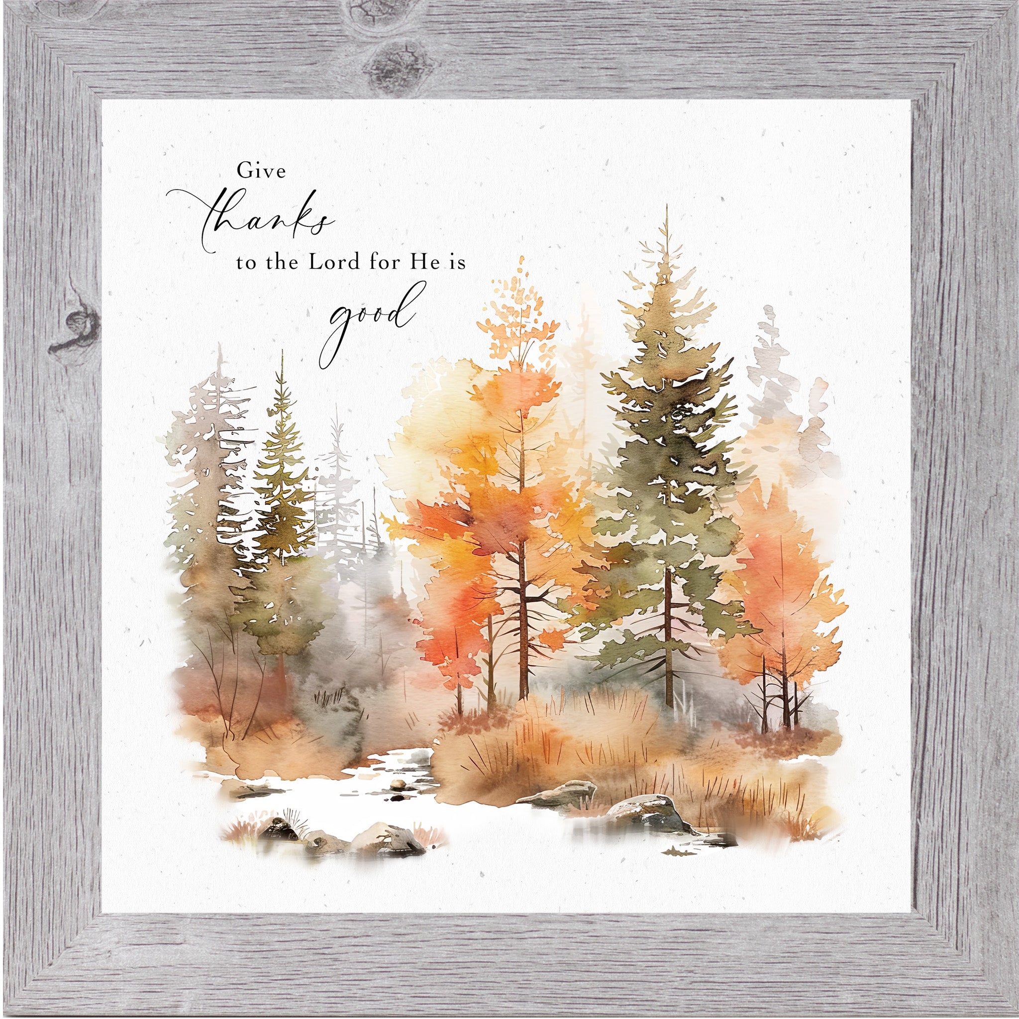 Gray framed square fall scripture wall art featuring watercolor autumn pine and deciduous forest in amber orange and gold tones with the words Give Thanks to the Lord for He is Good Psalm 136:1 on soft white background — SN170