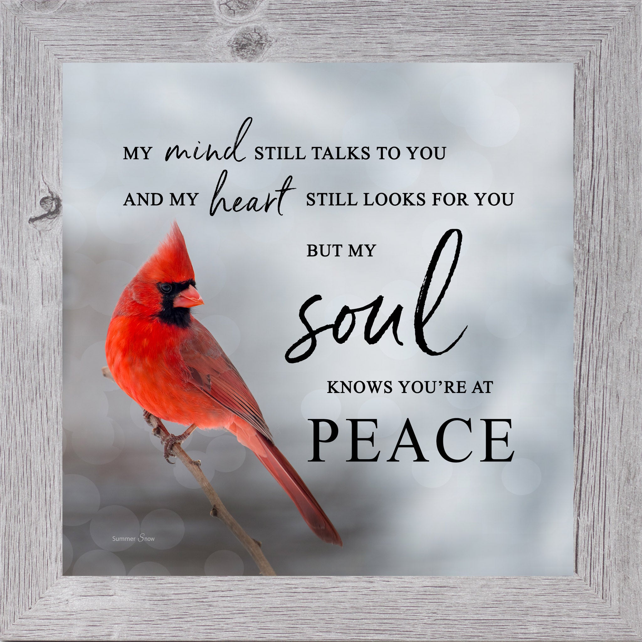 Gray framed square cardinal sympathy wall art featuring a photorealistic red cardinal in soft gray mist with the words "My Mind Still Talks to You and My Heart Still Looks for You But My Soul Knows You're at Peace" — SA24