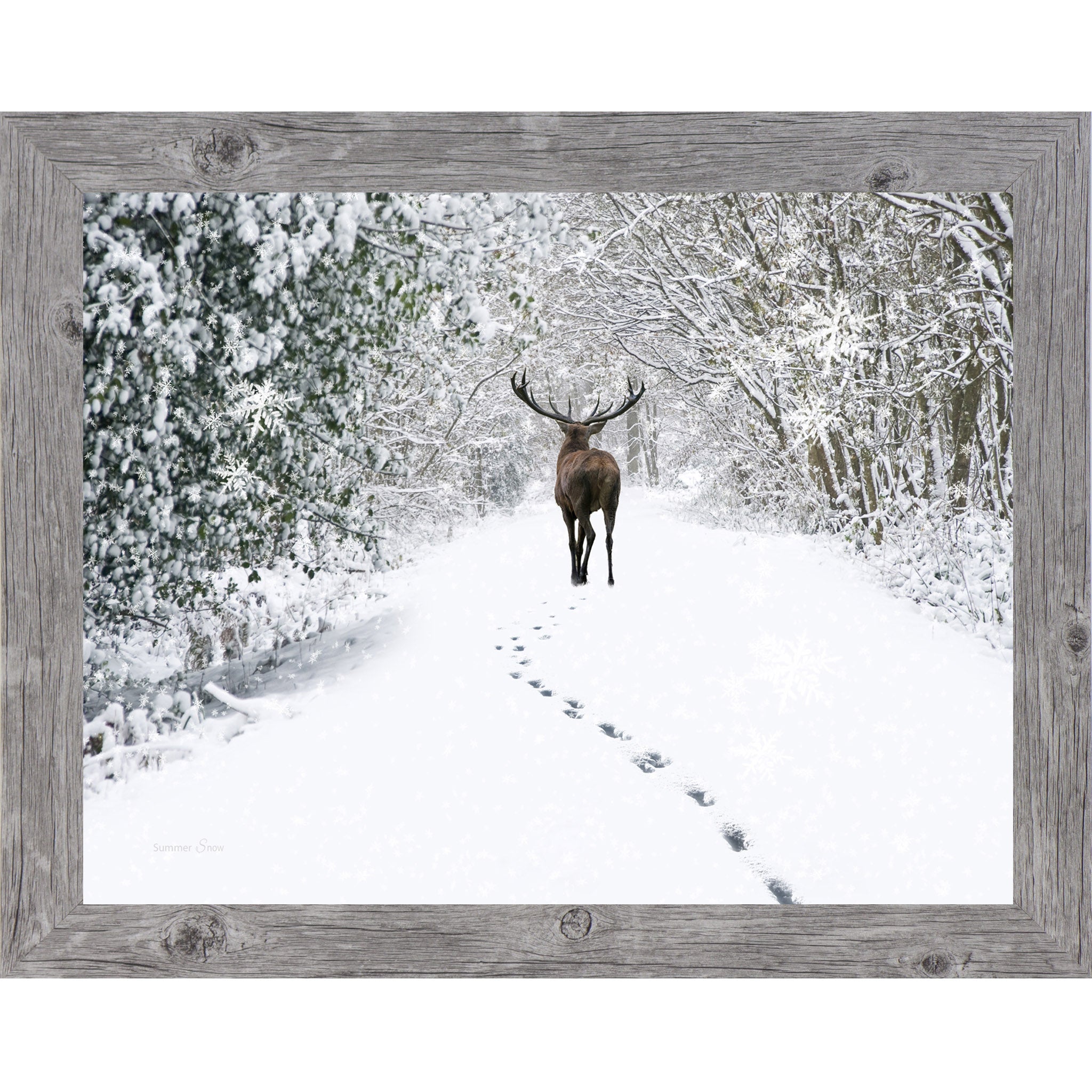 Gray framed landscape winter wall art featuring a lone stag walking through snow-covered woods with a trail of tracks behind him