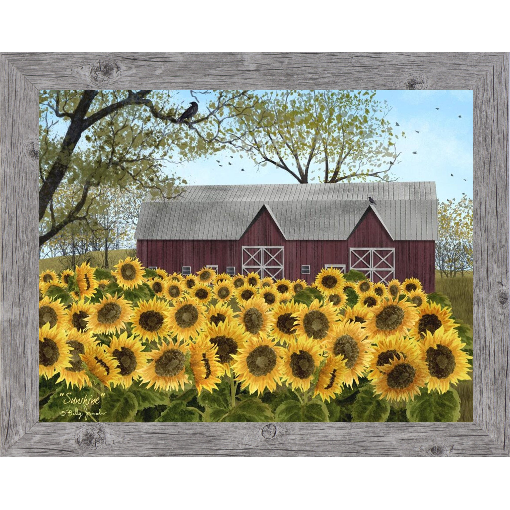 Gray framed Billy Jacobs Sunshine wall art featuring a sweeping field of golden sunflowers in full bloom before a classic red barn with white cross doors bare tree branches with a crow and pale blue sky