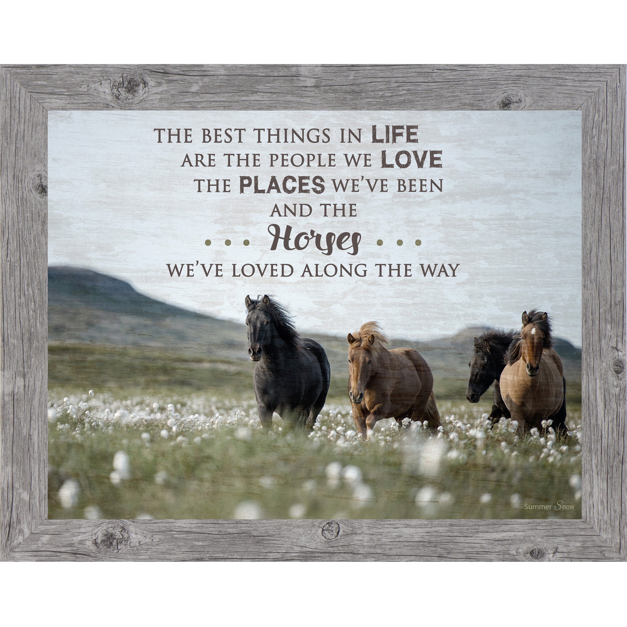 Best Things In Life Equine SSW9814