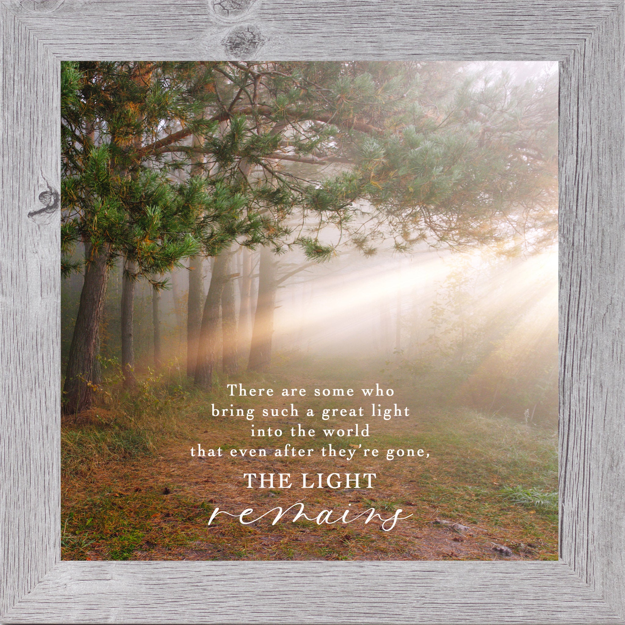 The Light Remains – Inspirational Framed Wall Art, Sunkissed Forest | SN124