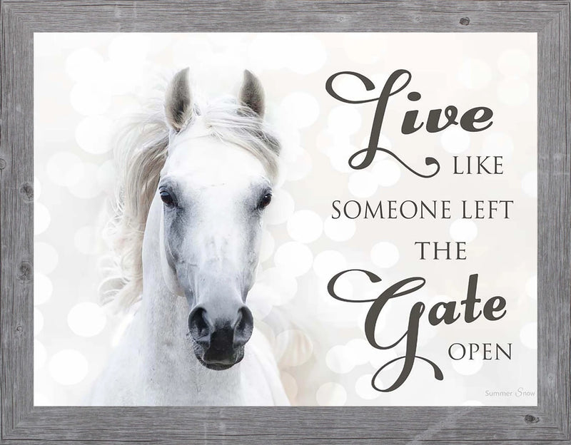 Live Like Someone Left the Gate Open by Summer Snow  SSW9819