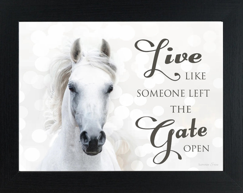 Live Like Someone Left the Gate Open by Summer Snow  SSW9819