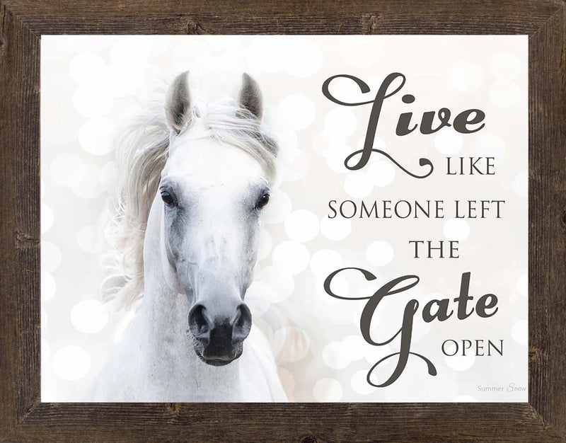 Live Like Someone Left the Gate Open by Summer Snow  SSW9819