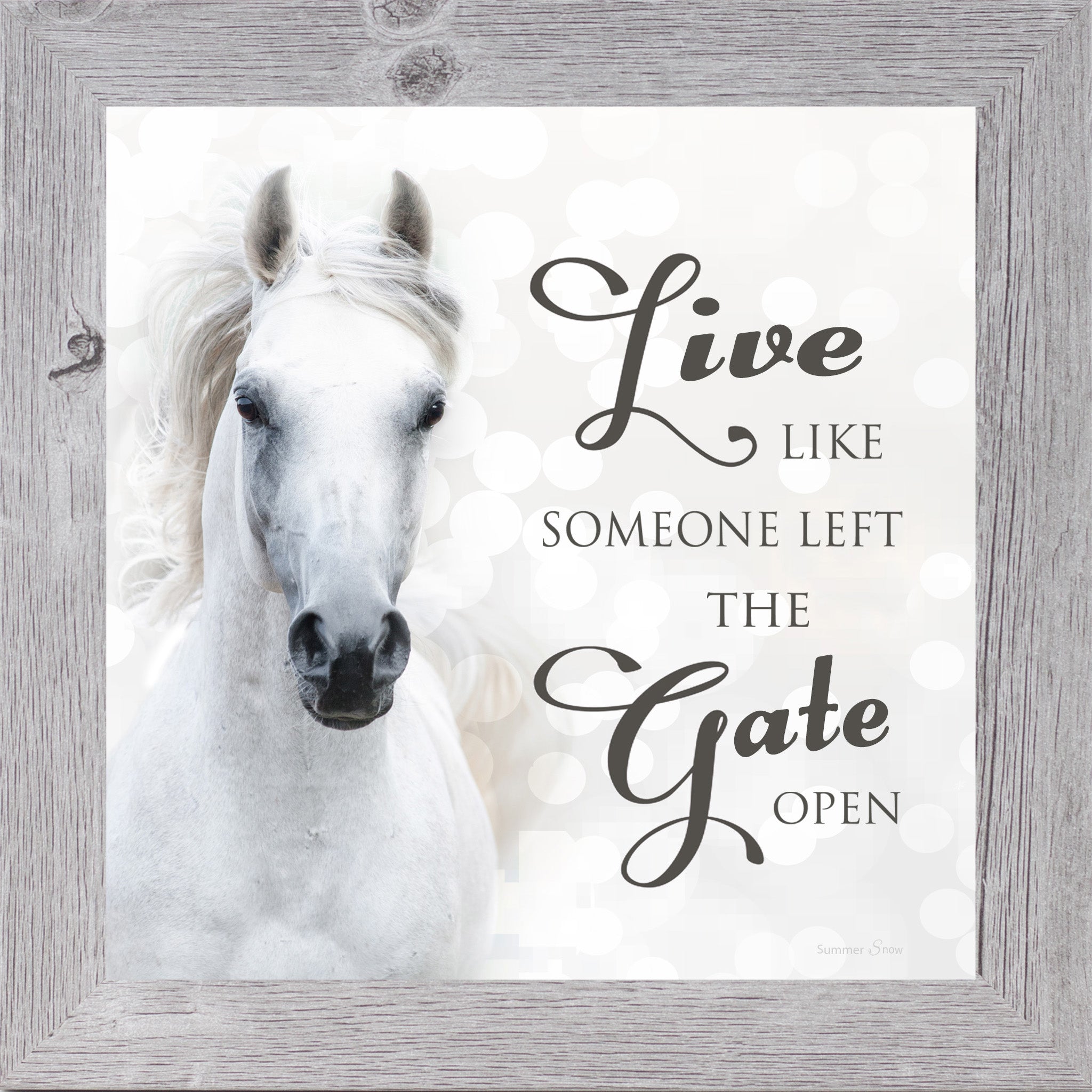 Inspirational framed wall art featuring a white horse facing forward on a neutral background with the quote “Live like someone left the gate open,” minimalist decor
