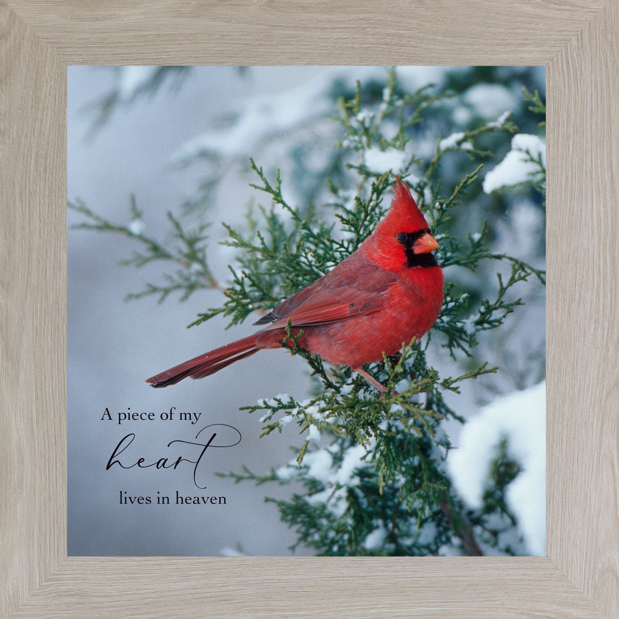 A Piece of My Heart Lives in Heaven – Cardinal Sympathy Framed Wall Art | Winter Remembrance Decor (SA127)