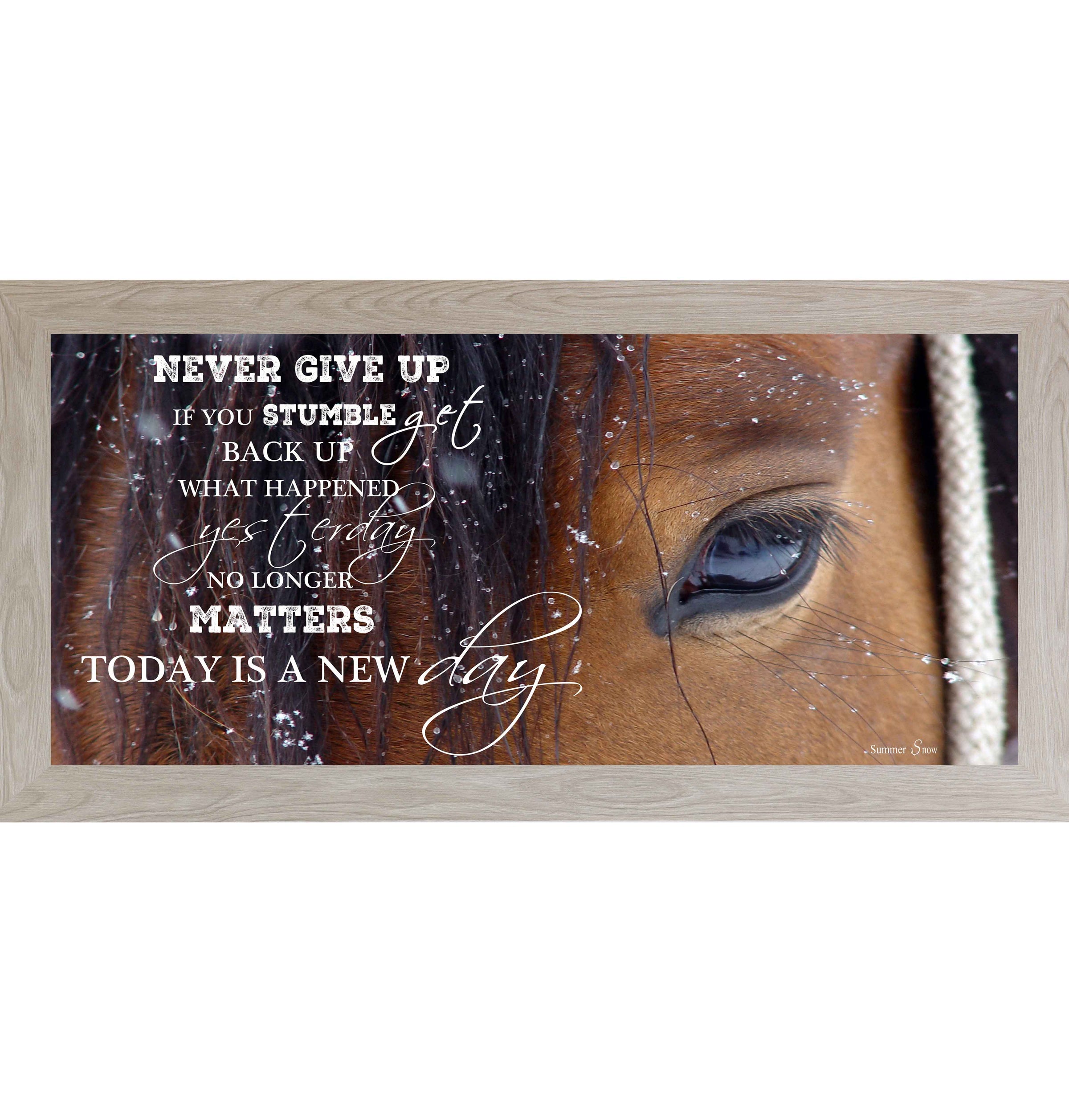 Never Give Up – Western Horse Inspirational Wall Art | SSW1865 - Summer Snow Art