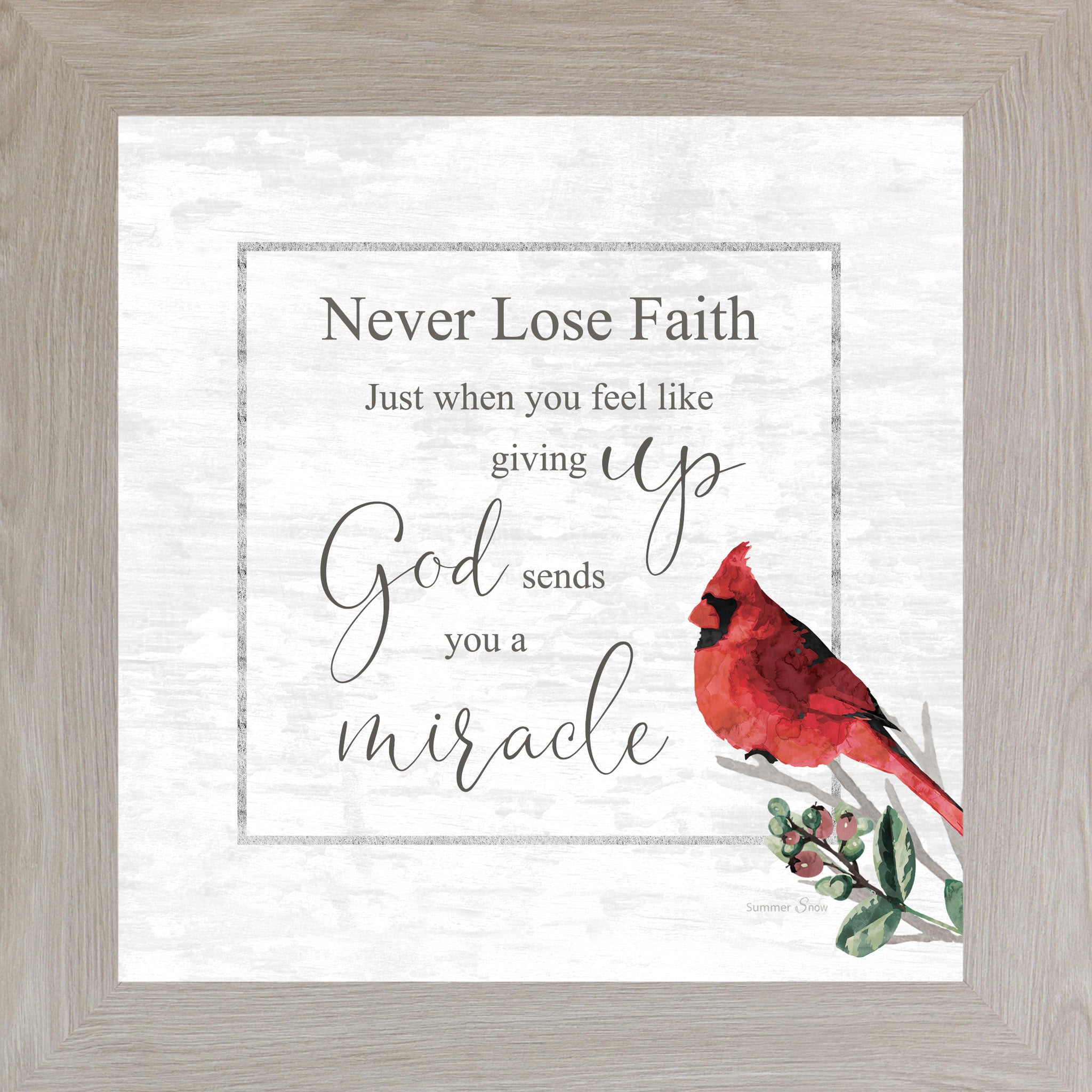 Never Lose Faith – Cardinal Inspirational Framed Wall Art | Christian Encouragement Decor (SS830)
