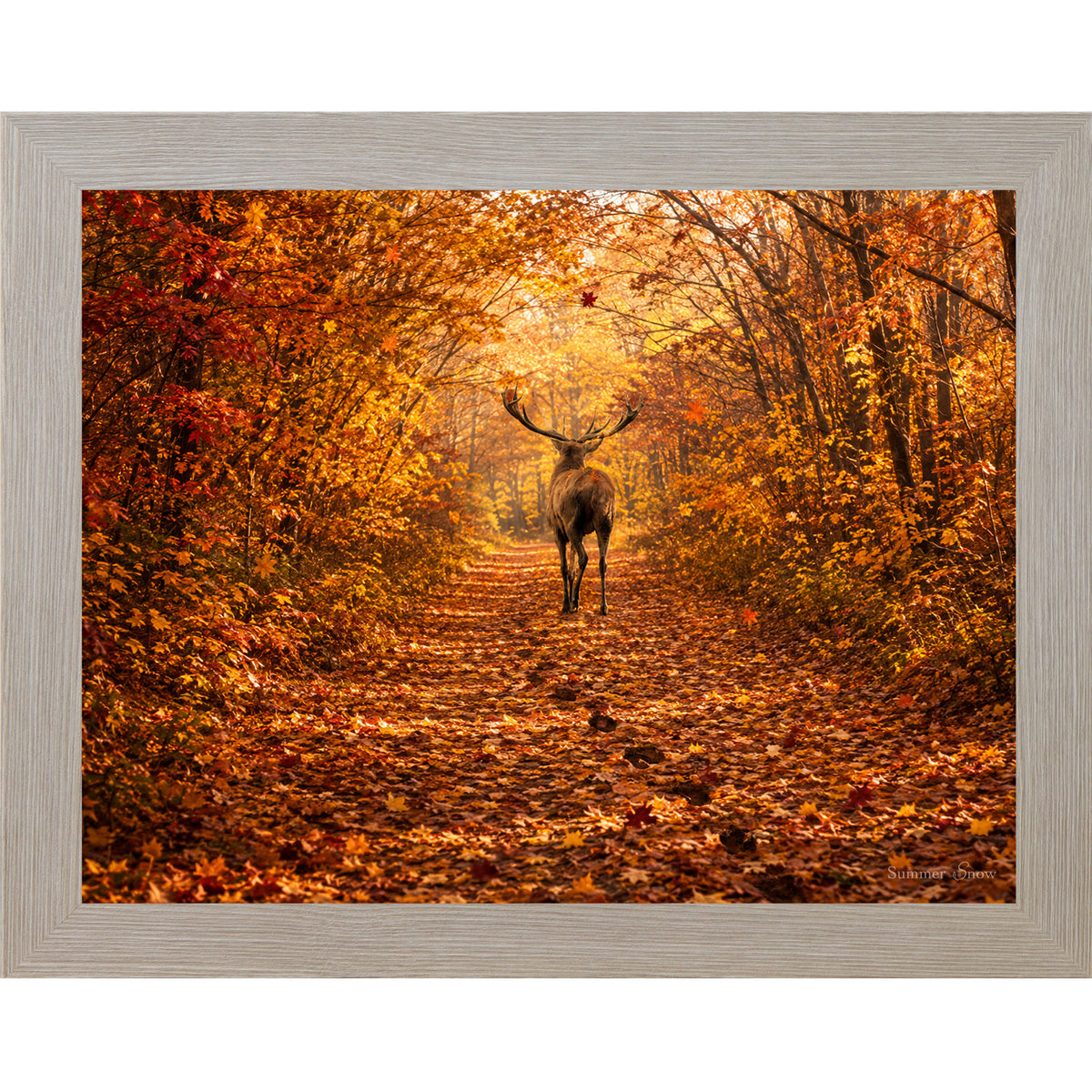 Monte Carlo framed horizontal nature wall art featuring a deer walking away down a blazing autumn forest path with crimson and amber canopy fallen leaves and golden October light