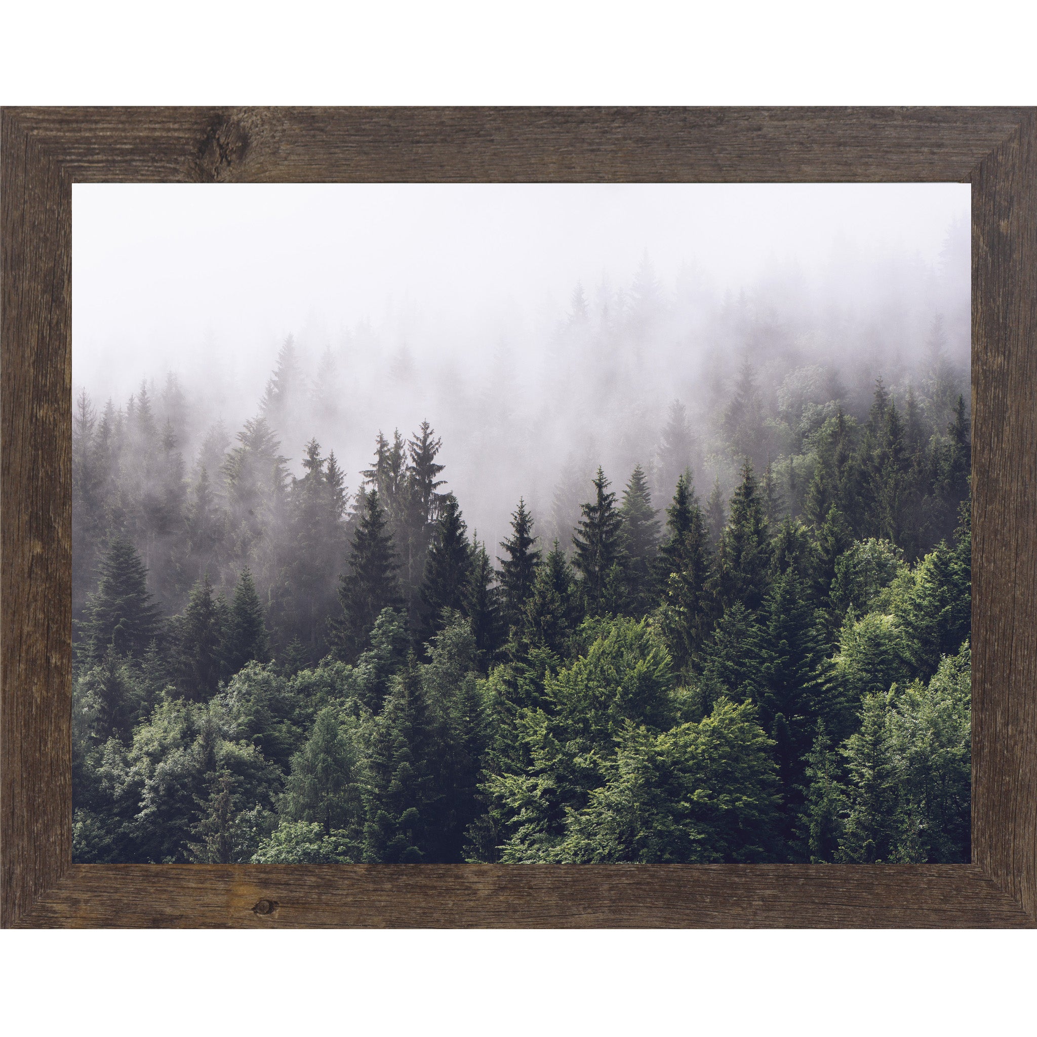 Misty forest framed wall art with soft foggy trees and neutral tones, peaceful nature artwork with no text