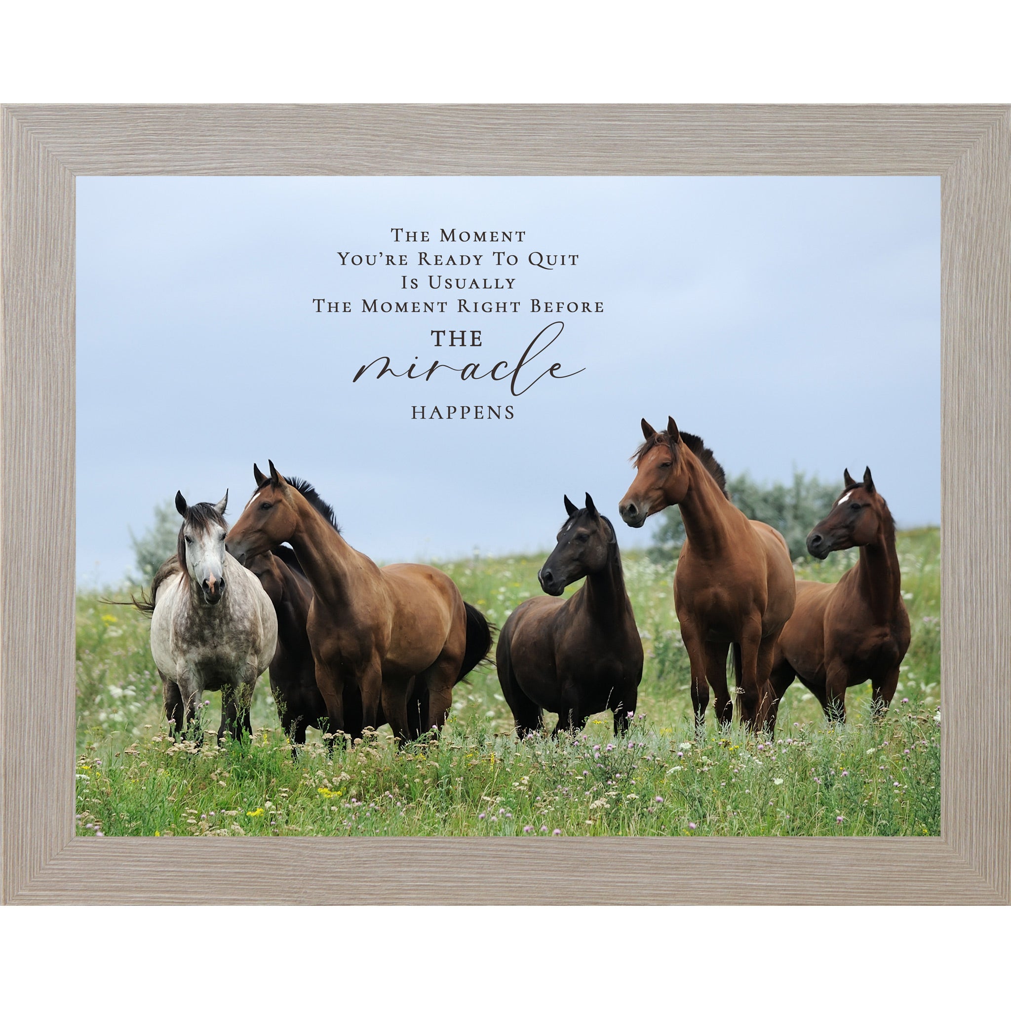 Monte Carlo framed landscape inspirational horse wall art with five horses standing alert in a wildflower meadow with blue sky and the quote The Moment You're Ready to Quit Is Usually the Moment Right Before the Miracle Happens