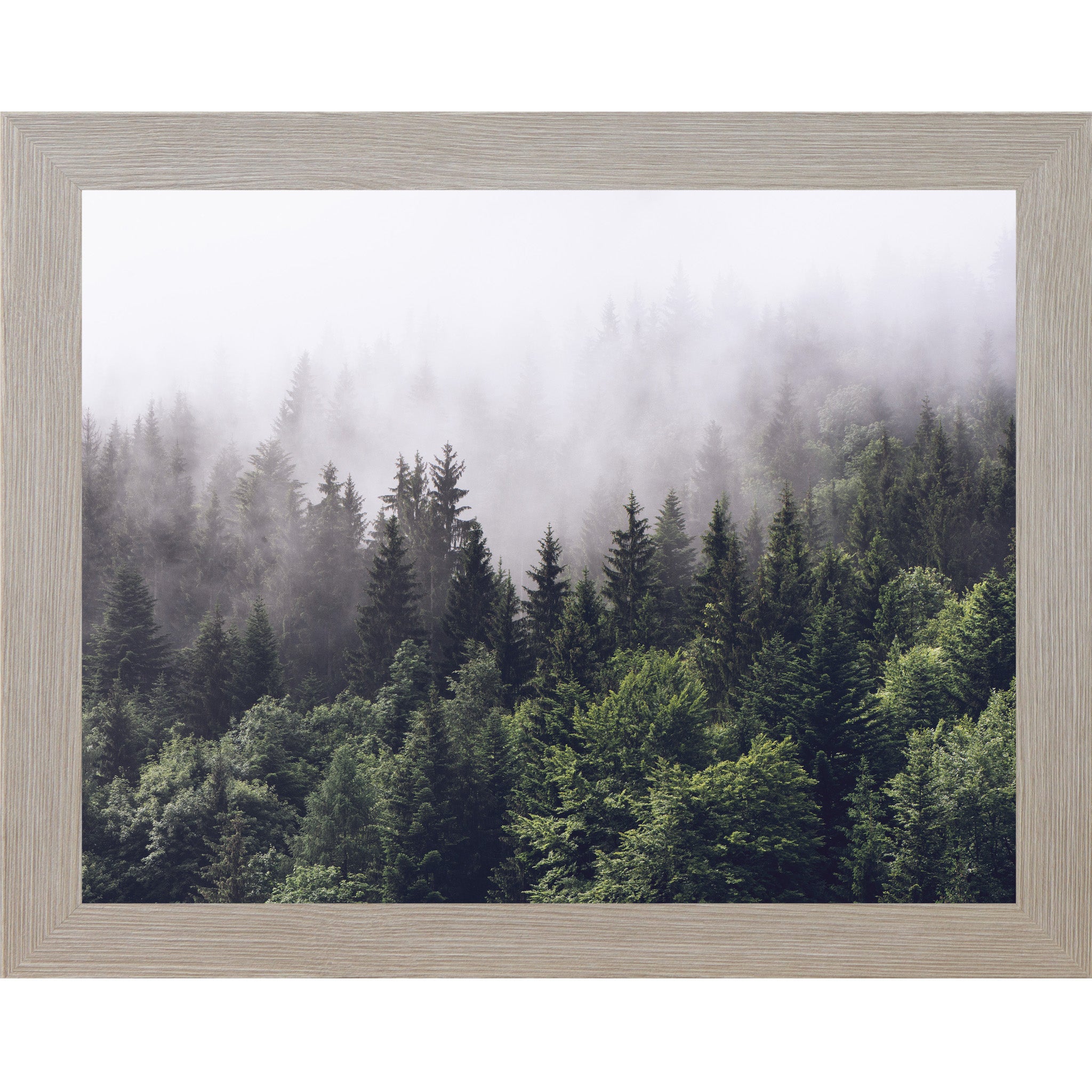 Monte Carlo framed horizontal nature wall art featuring a dense evergreen pine forest disappearing into rolling mountain fog with deep green canopies fading to pale misty silhouettes