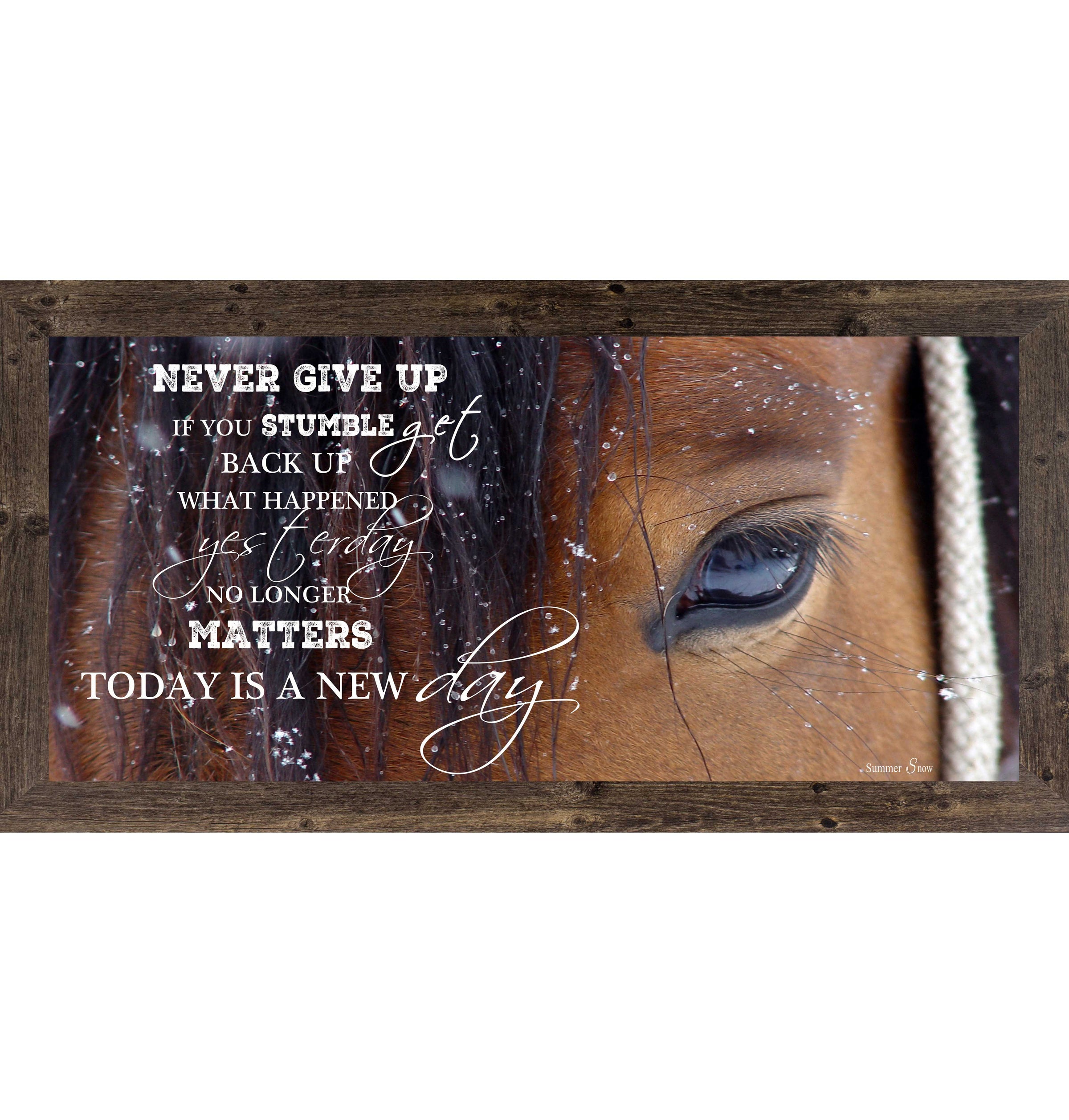 Never Give Up SSW1865