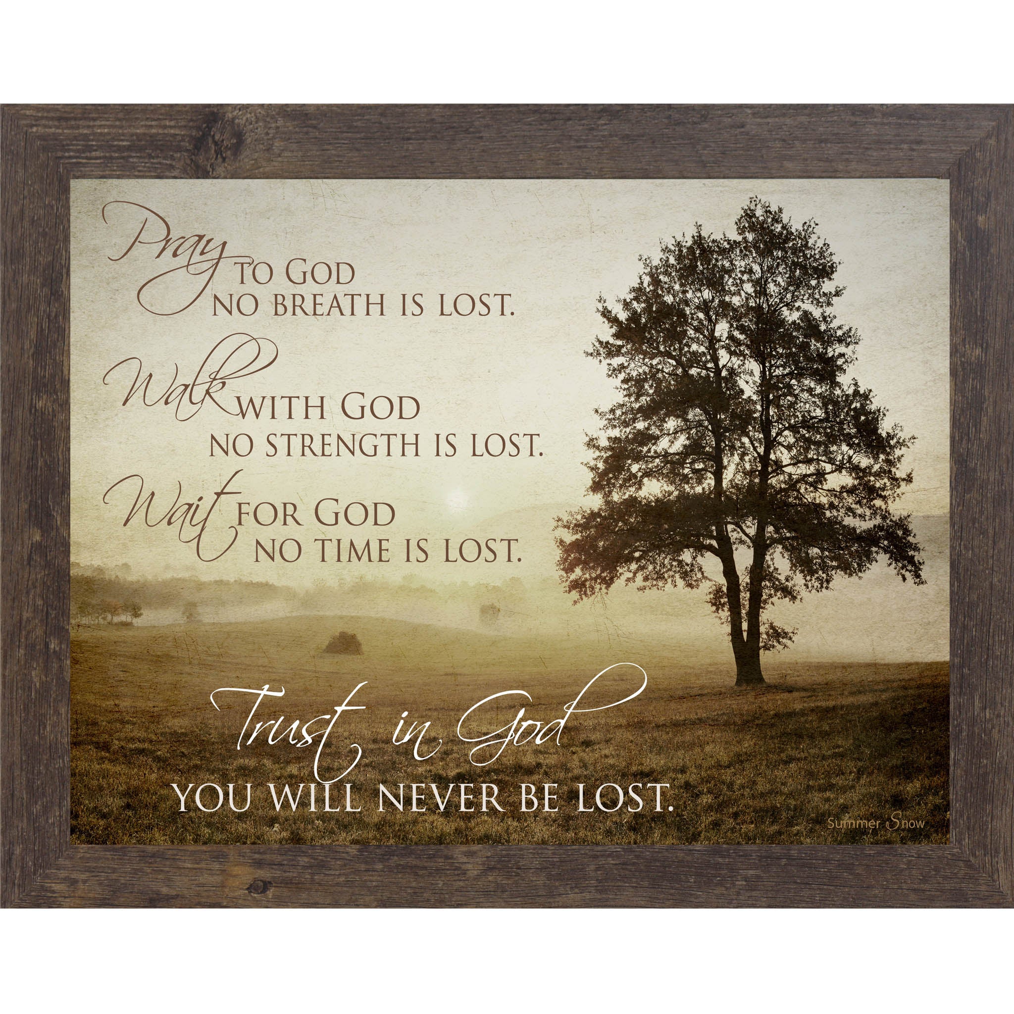 Trust in God – Framed Christian Wall Art with Morning Field & Inspirational Faith Quote (SS9720)