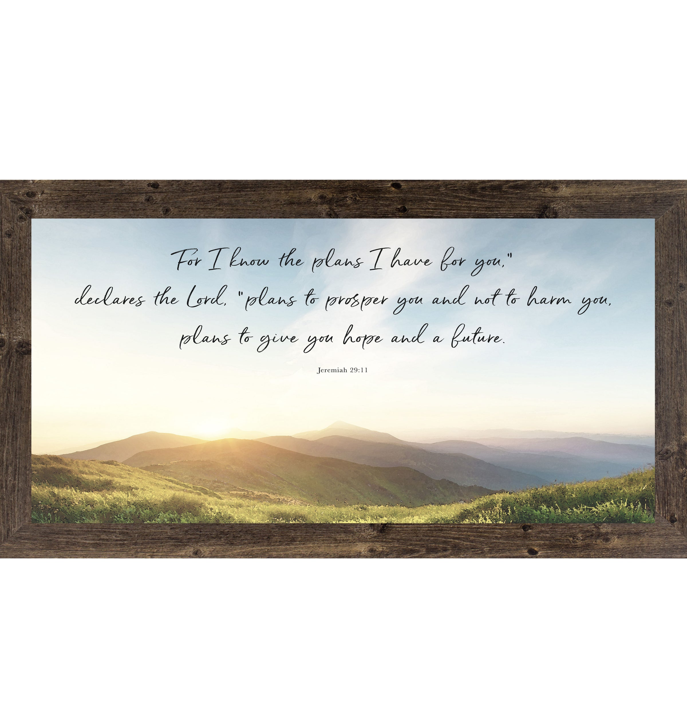 For I Know the Plans I Have for You – Jeremiah 29:11 Framed Wall Art | Inspirational Faith Decor | SS1598