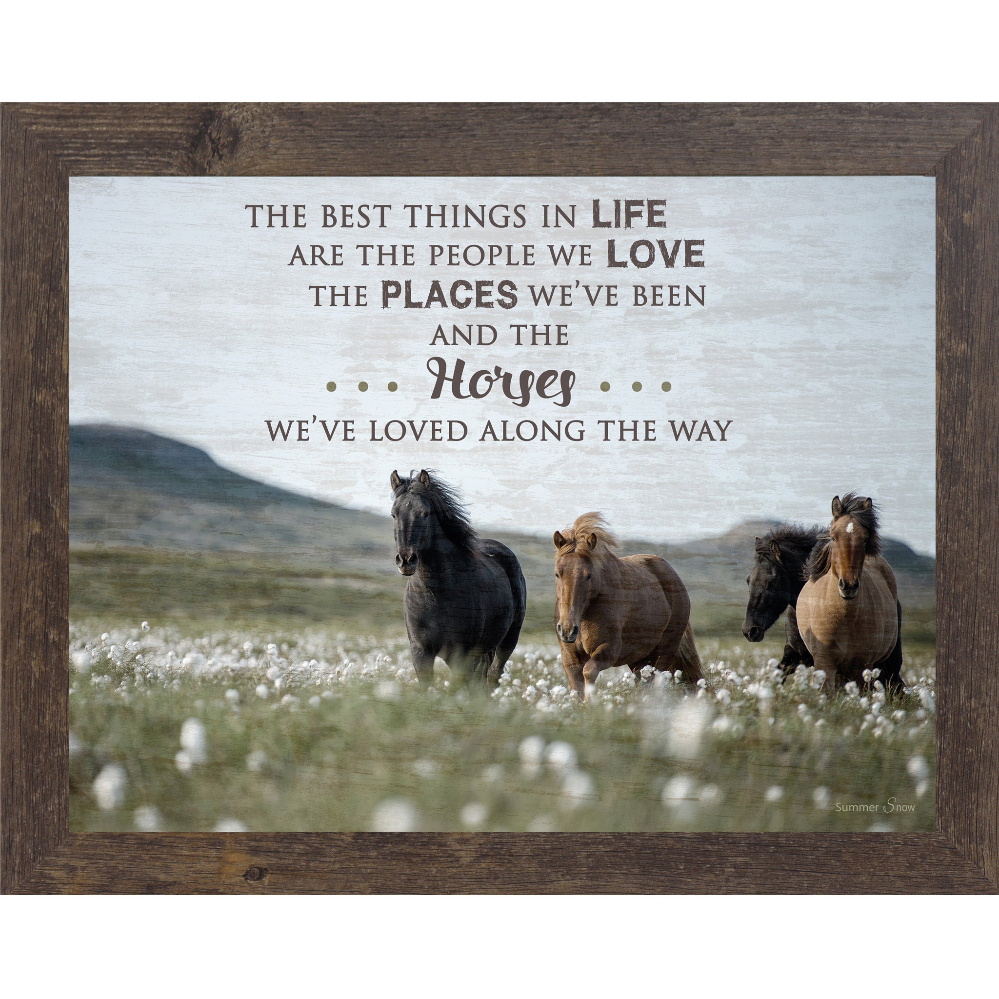 Best Things In Life Equine SSW9814